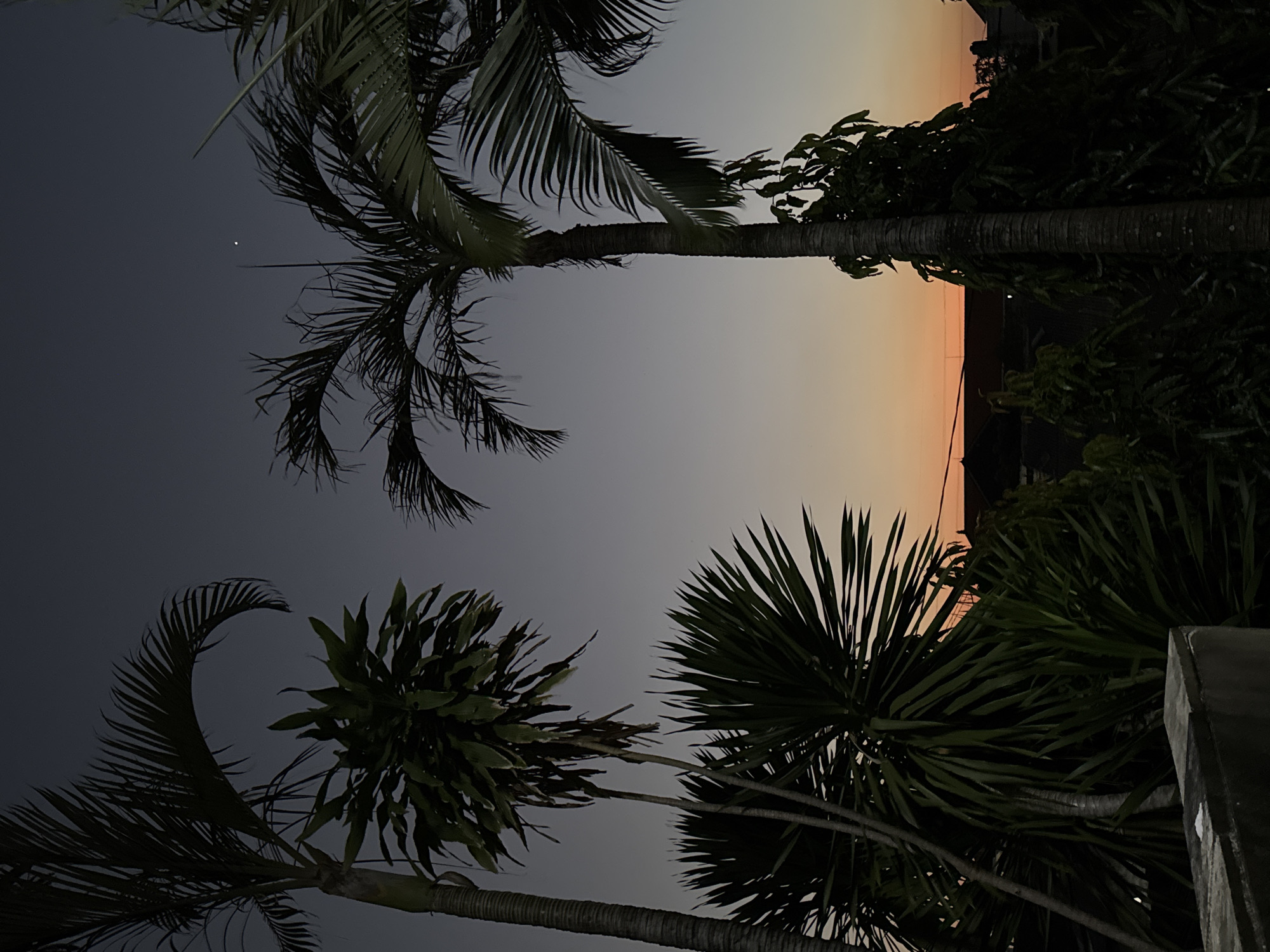 Dusk to night at a Denpasar property, palms and parked vehicles