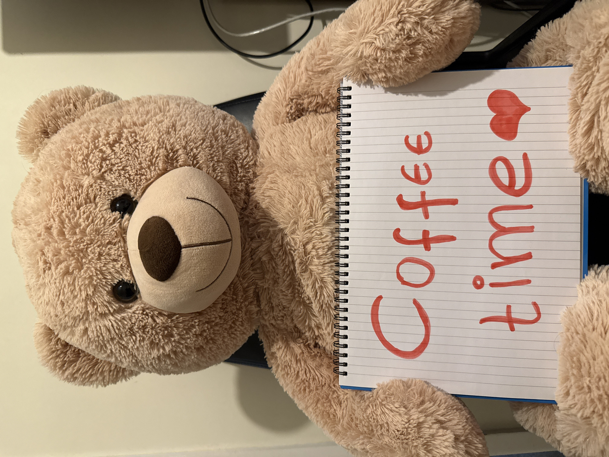 Teddy bear holds coffee-themed notebook in Leicester
