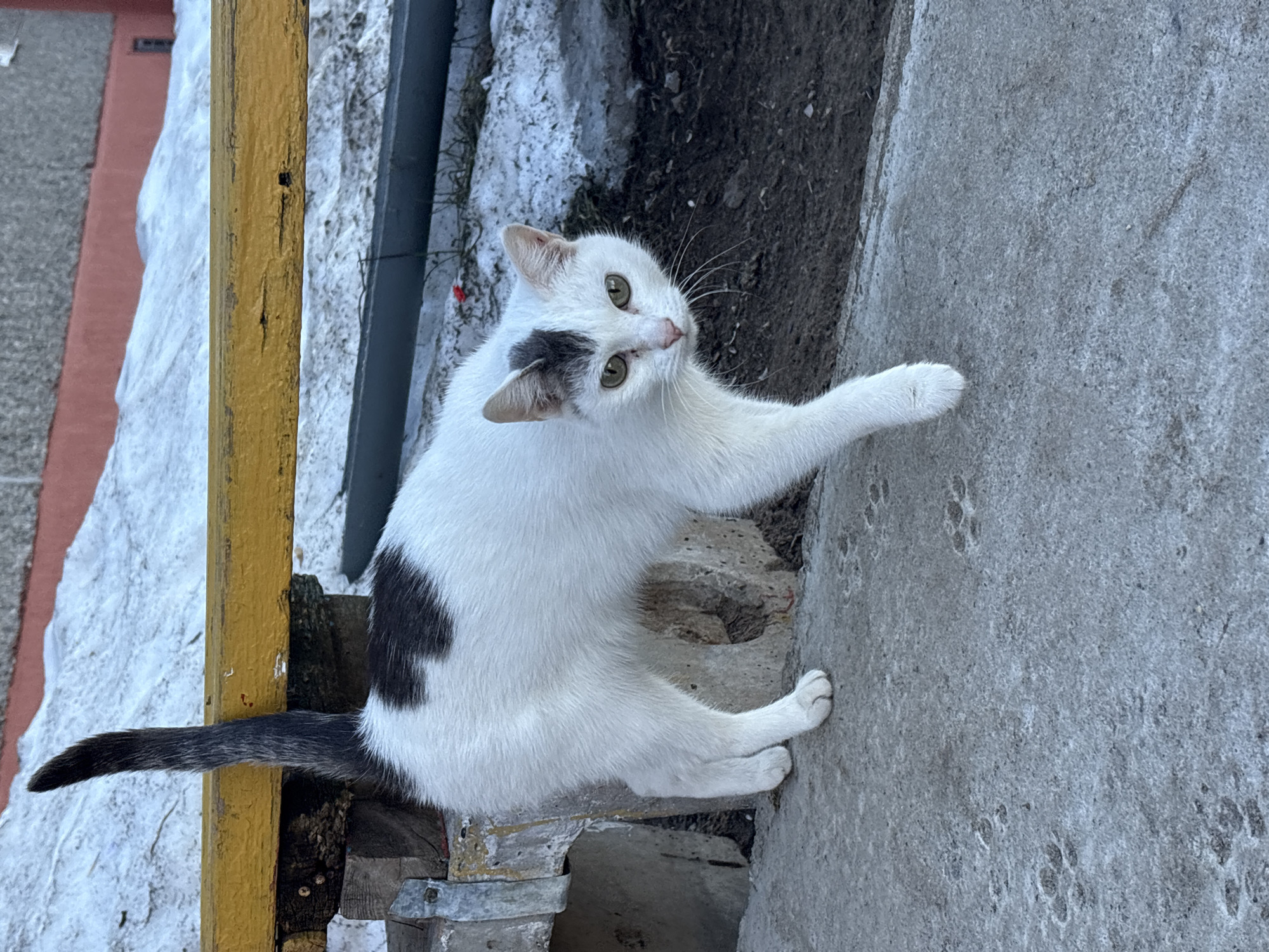 Spring morning walk documented in Chaikovsky, Russia