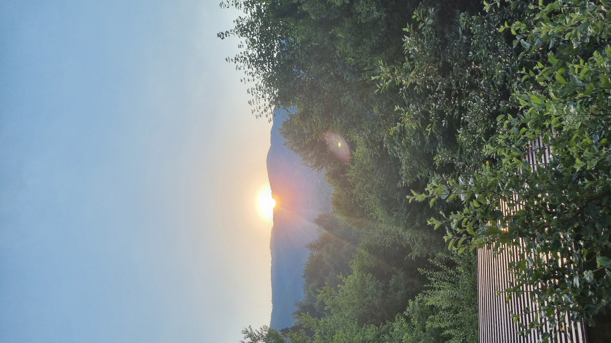 Dusk light over forested hills and valleys in Vyshka, Ukraine