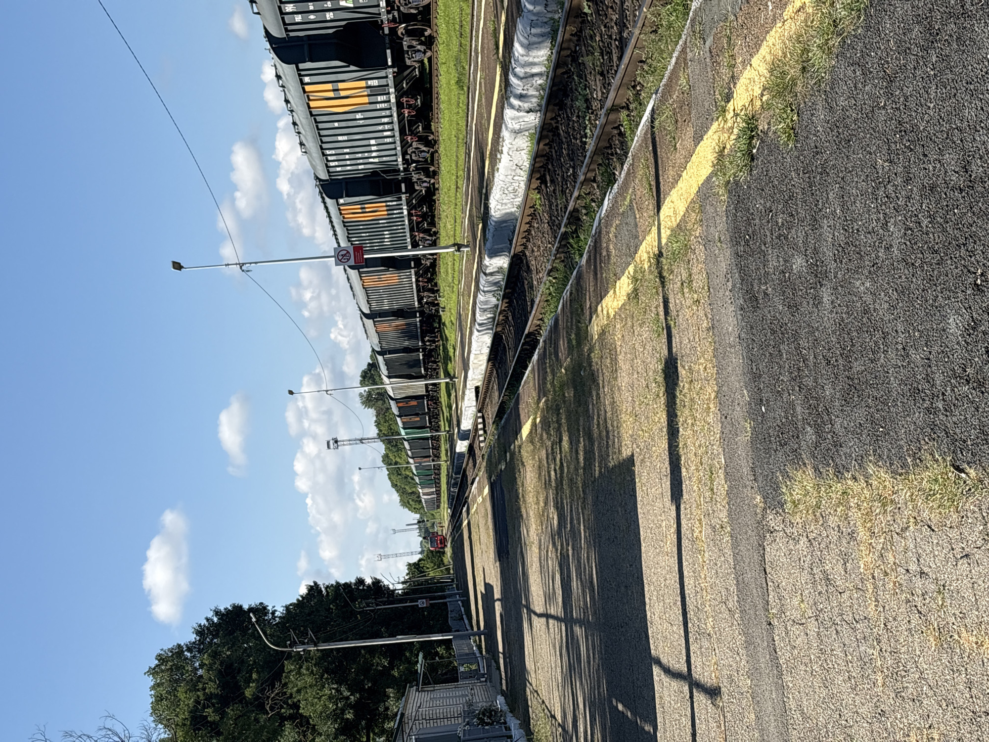 Freight trains and blue spruce trees at Mikhaylovsk station