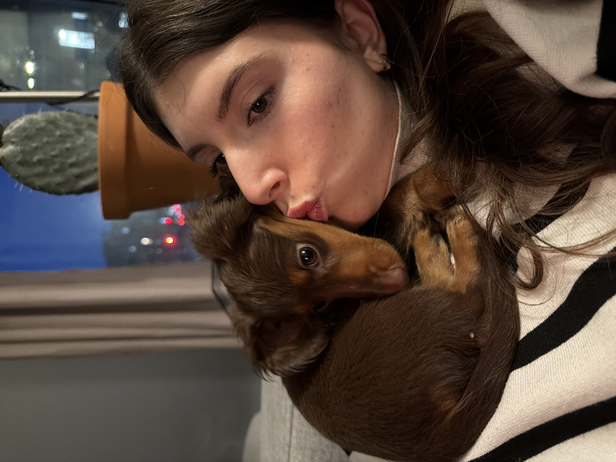Woman shares affectionate moment with dachshund puppy in Montreal