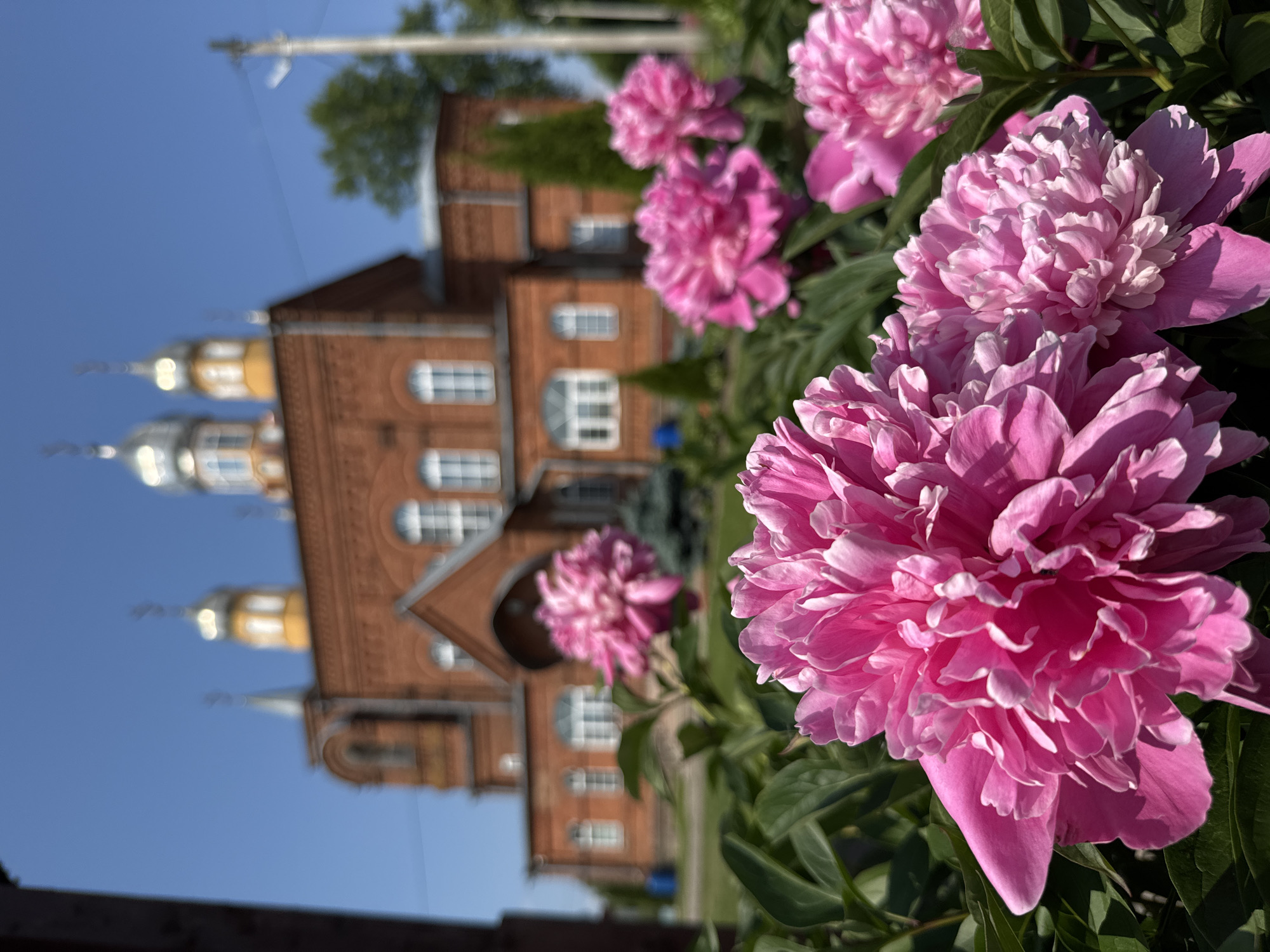 Garden scenes and Orthodox church documented in Chudovo, Russia