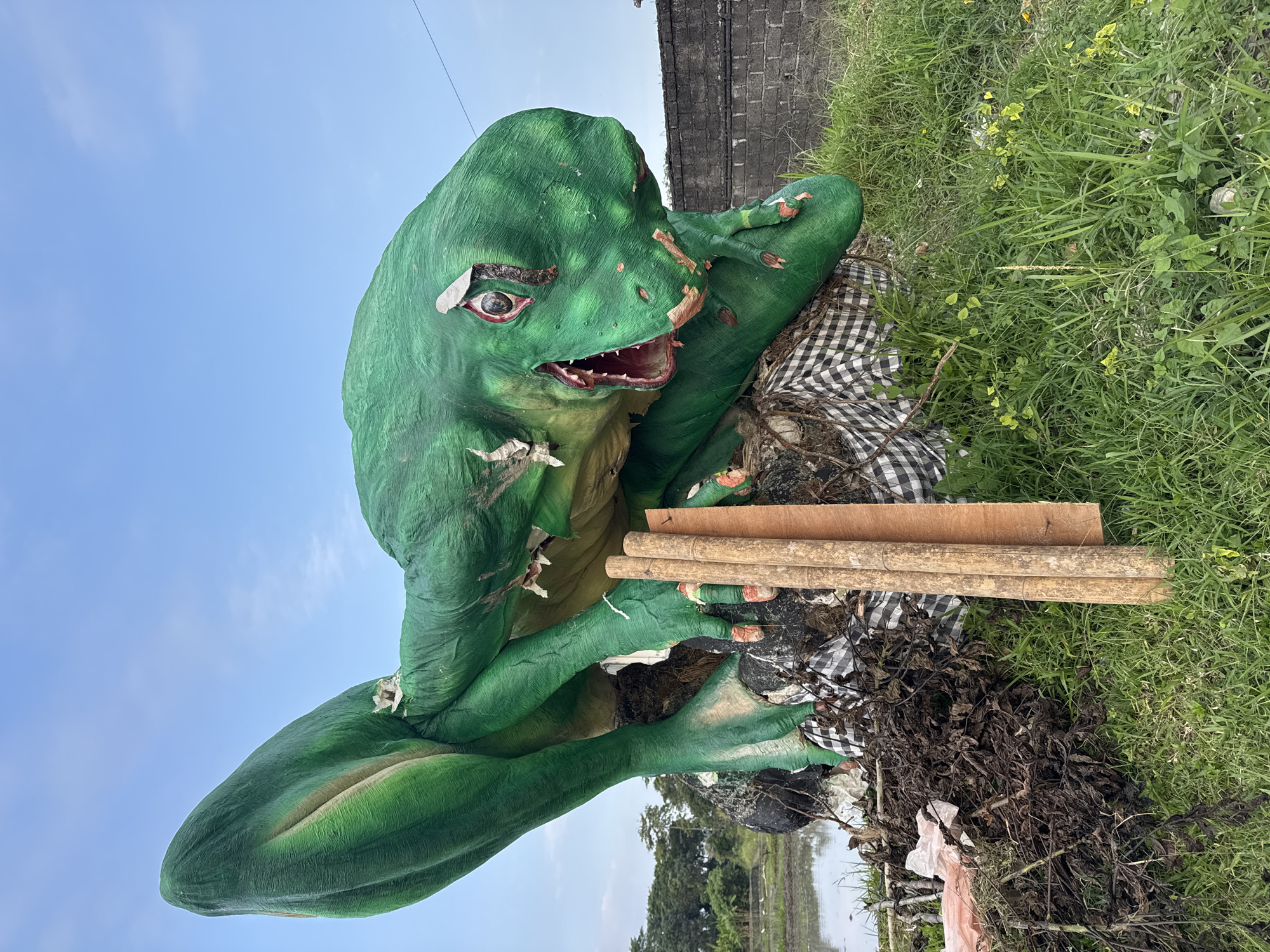 Rice paddy tilling and a festival dragon prop in Sukawati