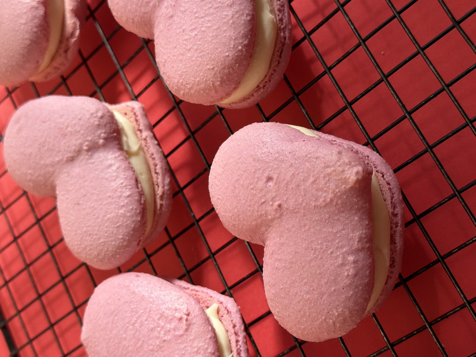 Tel-Aviv residents document macaron baking and dog play