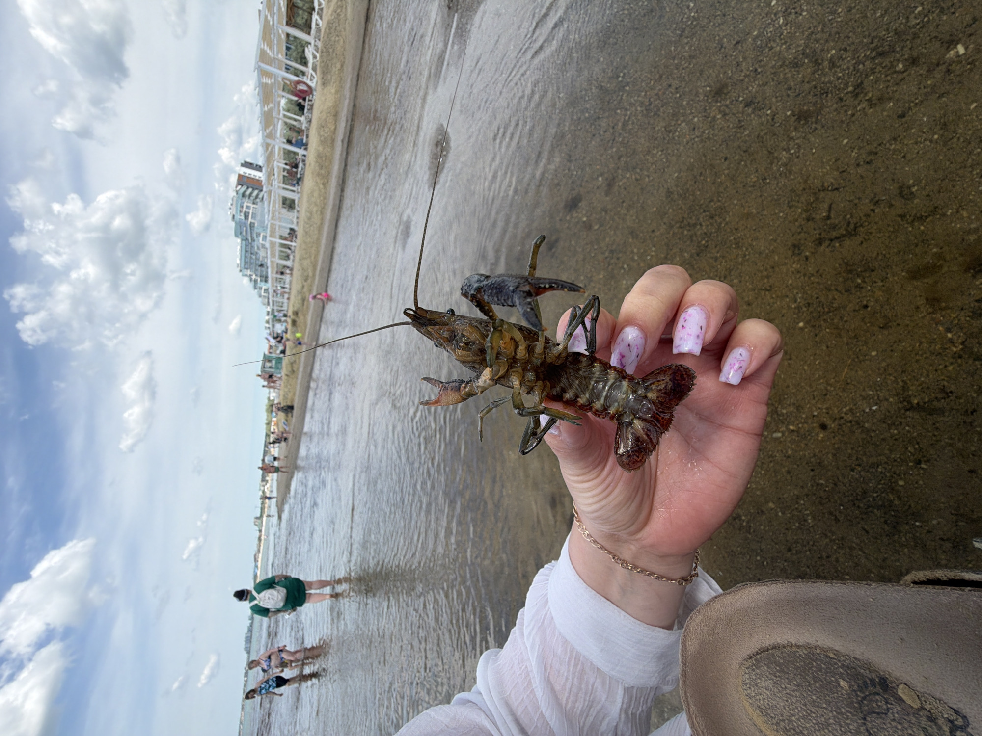 Person holds live crayfish at waterfront location