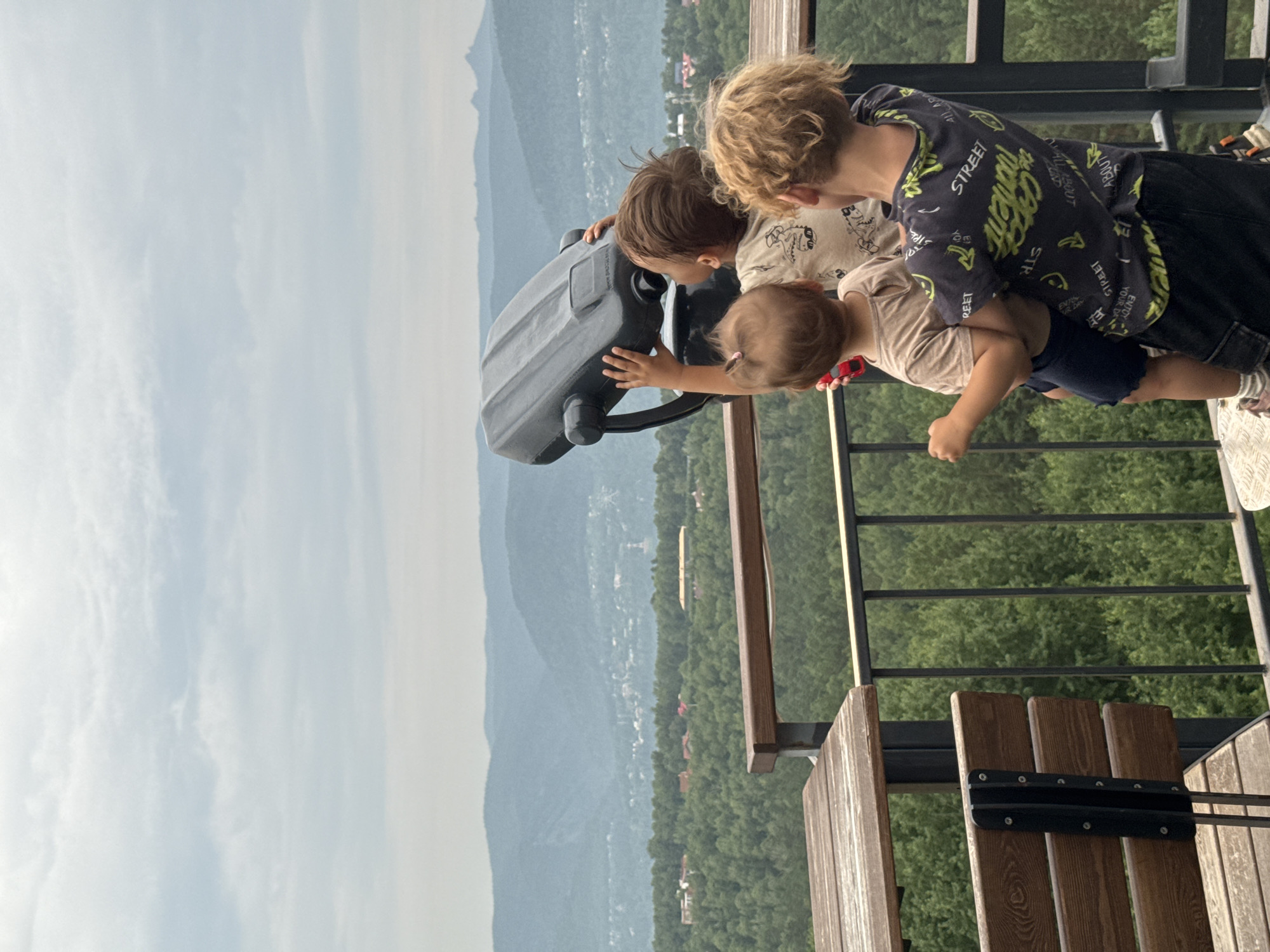 Forest observation park near Krasnoyarsk, walkways and valley views