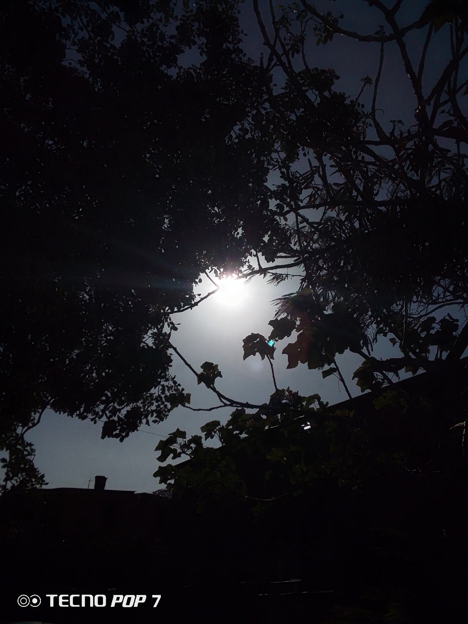 Sky watching moments captured in Altagracia, Venezuela