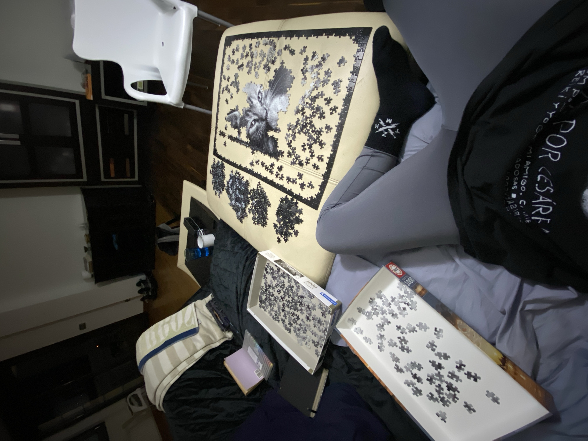 Quiet puzzle afternoon captured in Villaviciosa countryside home