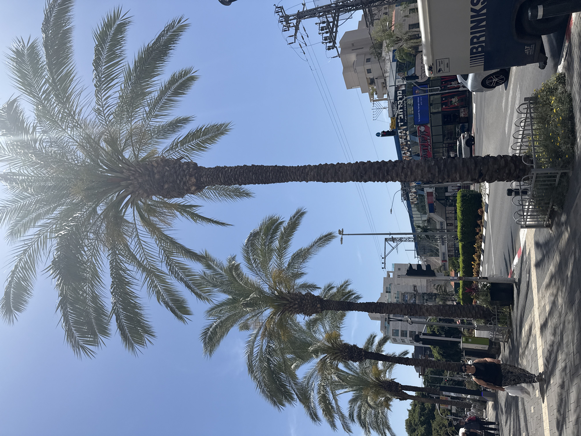 Morning street scenes captured across Raanana, Israel