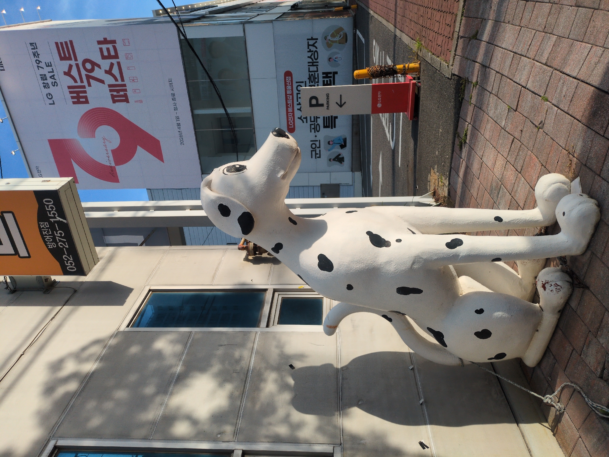Urban scenes documented in Ulsan including Dalmatian statue, waterfront