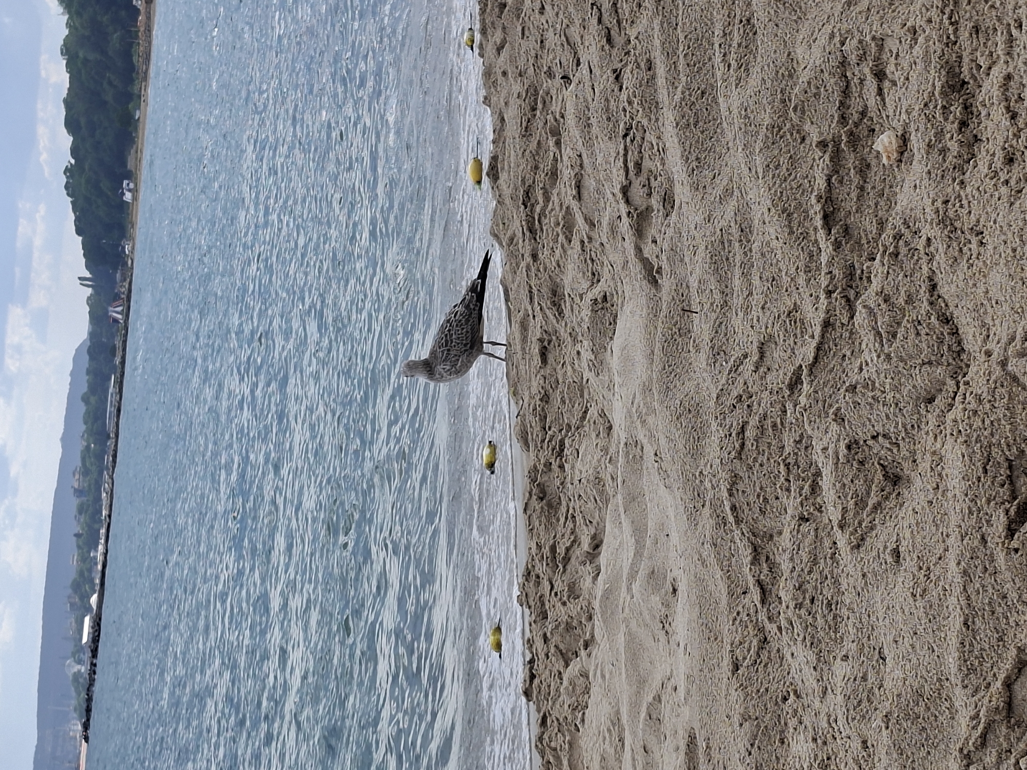 Varna's Black Sea beach on a stormy summer afternoon