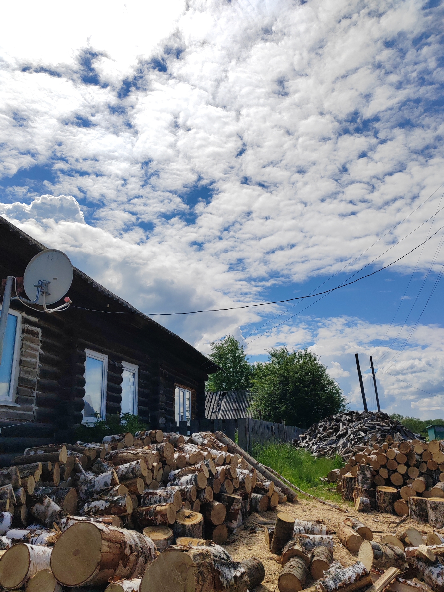 Children play in rural village amid logs, flowers on sunny morning
