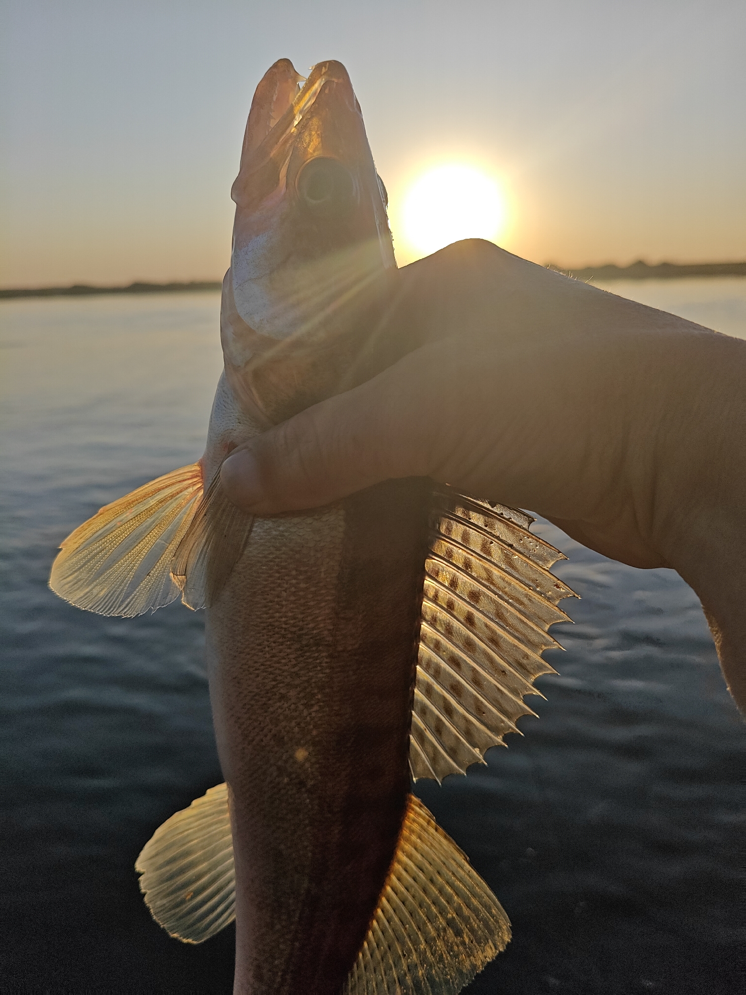 Angler displays catch against sunset in Chaikovsky, Russia