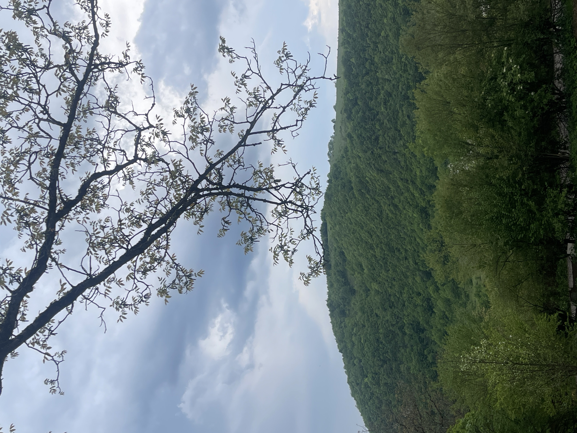 Spring landscapes documented in rural Chiatura, Georgia