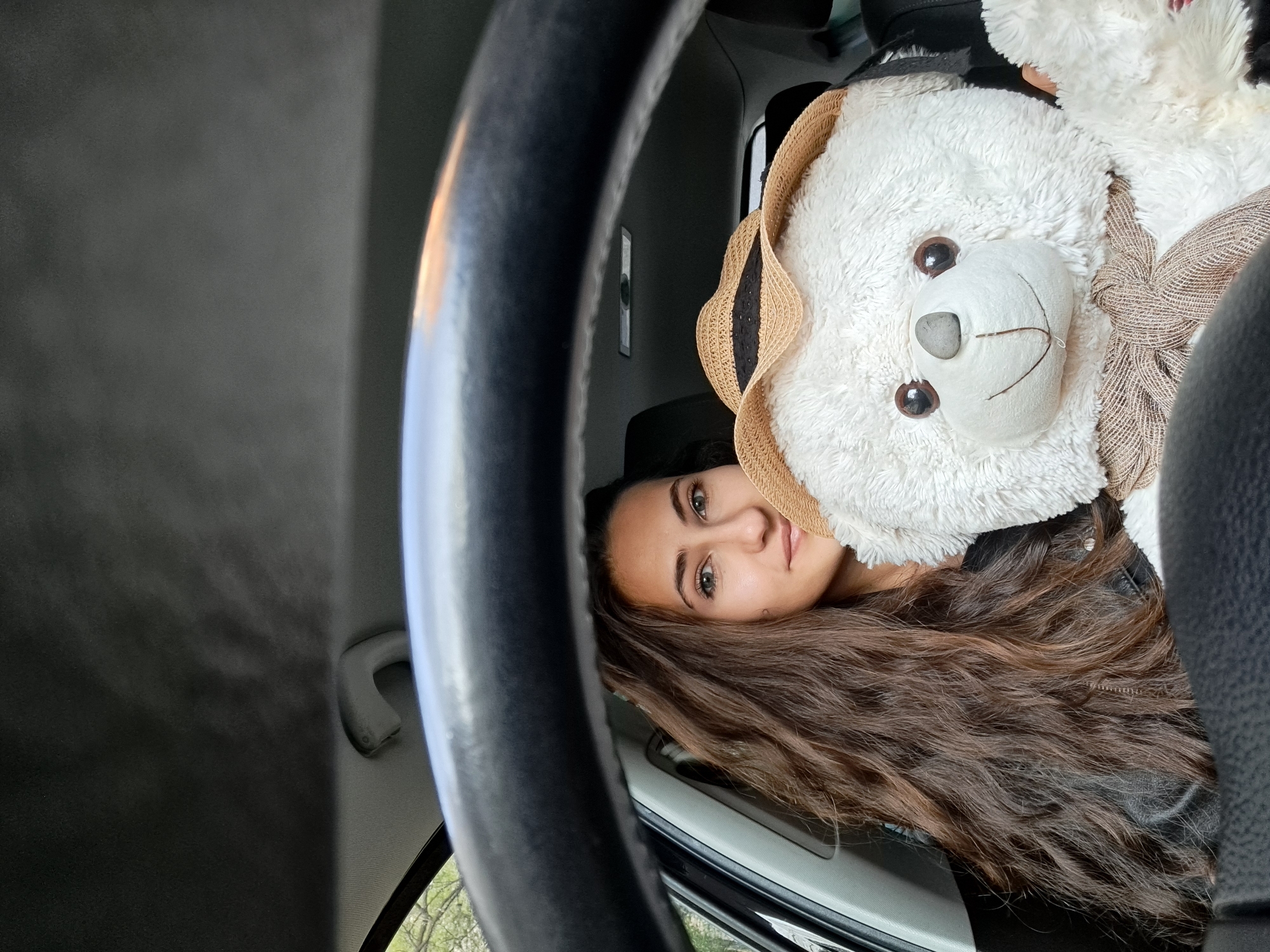 Woman spotted with large teddy bear inside car