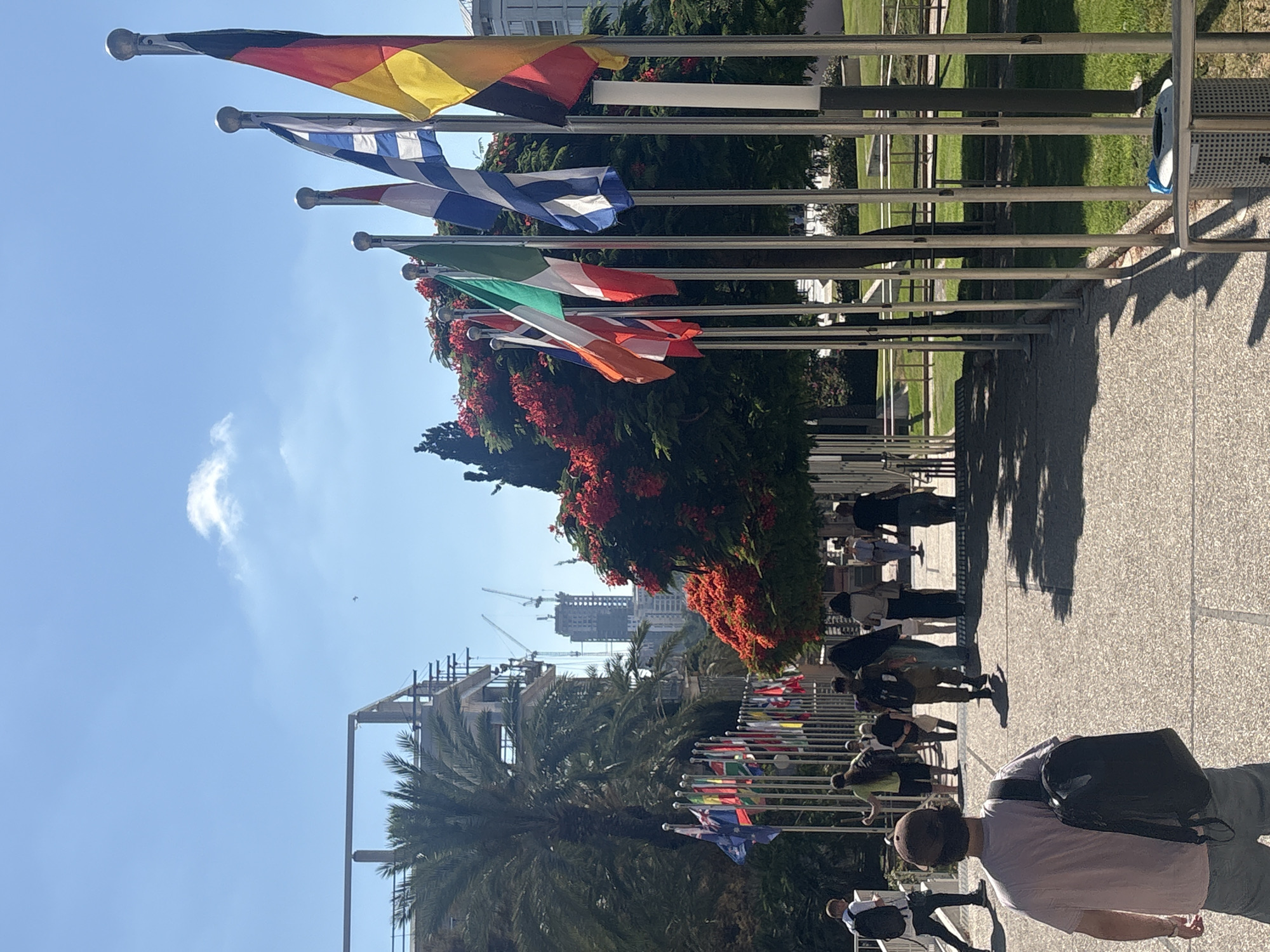 International flags line a sunny Tel Aviv walkway