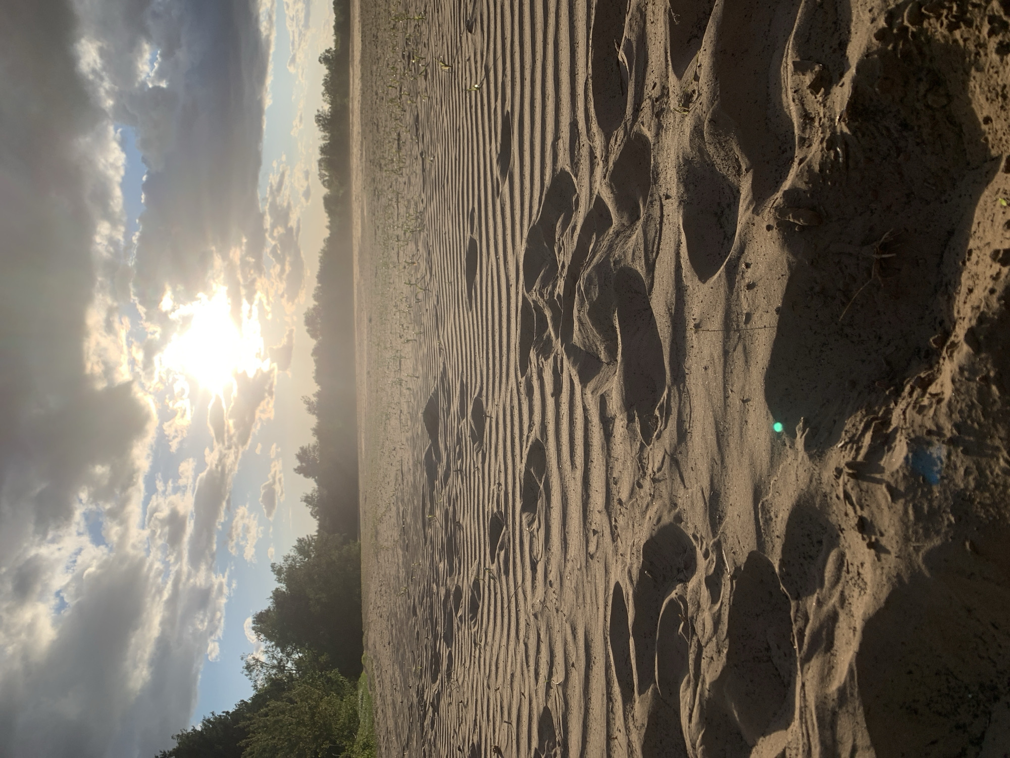 Sandy field shows tire tracks, footprints in Varviškė