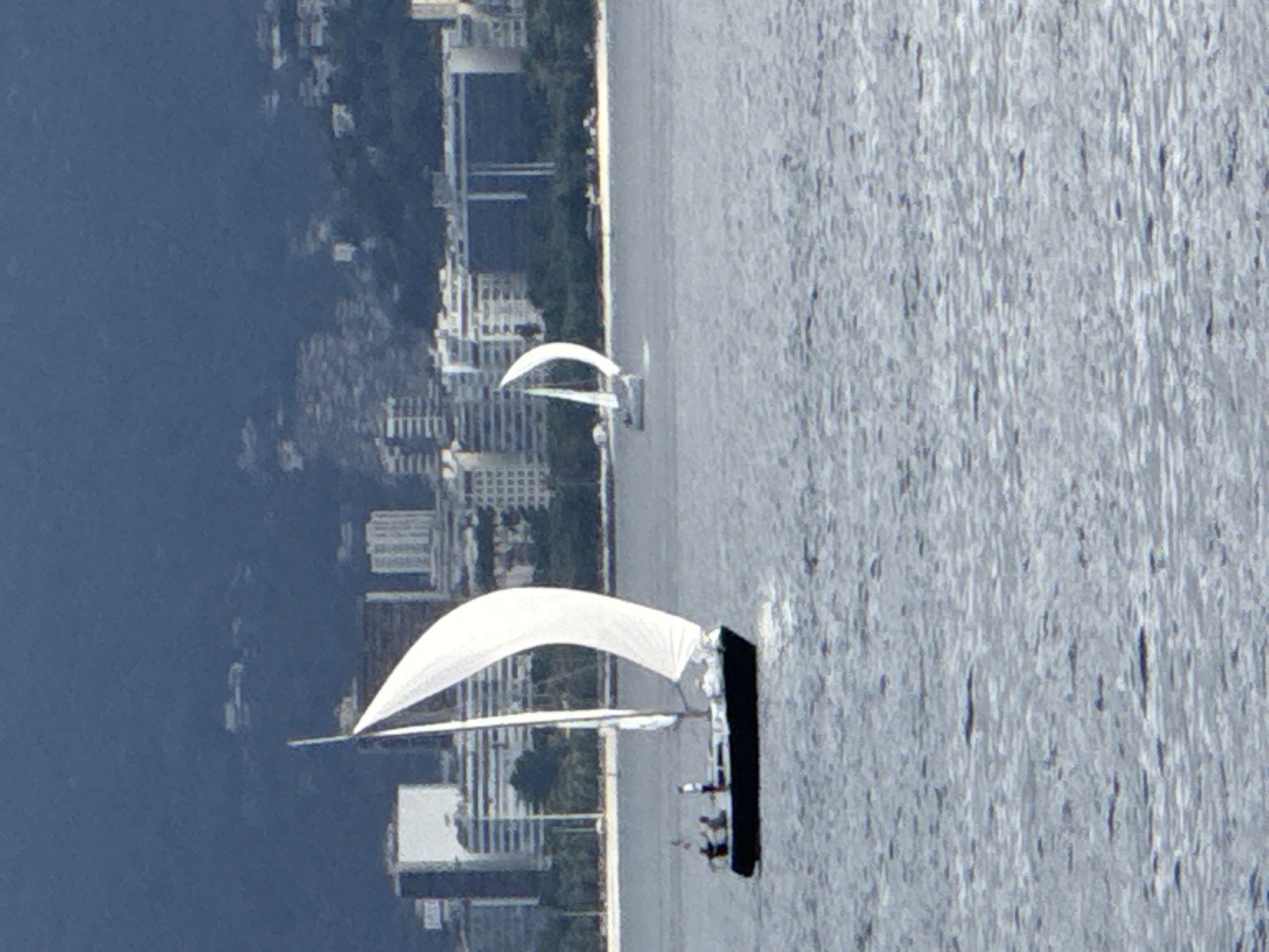 Sailboats racing on Guanabara Bay off Niterói's skyline