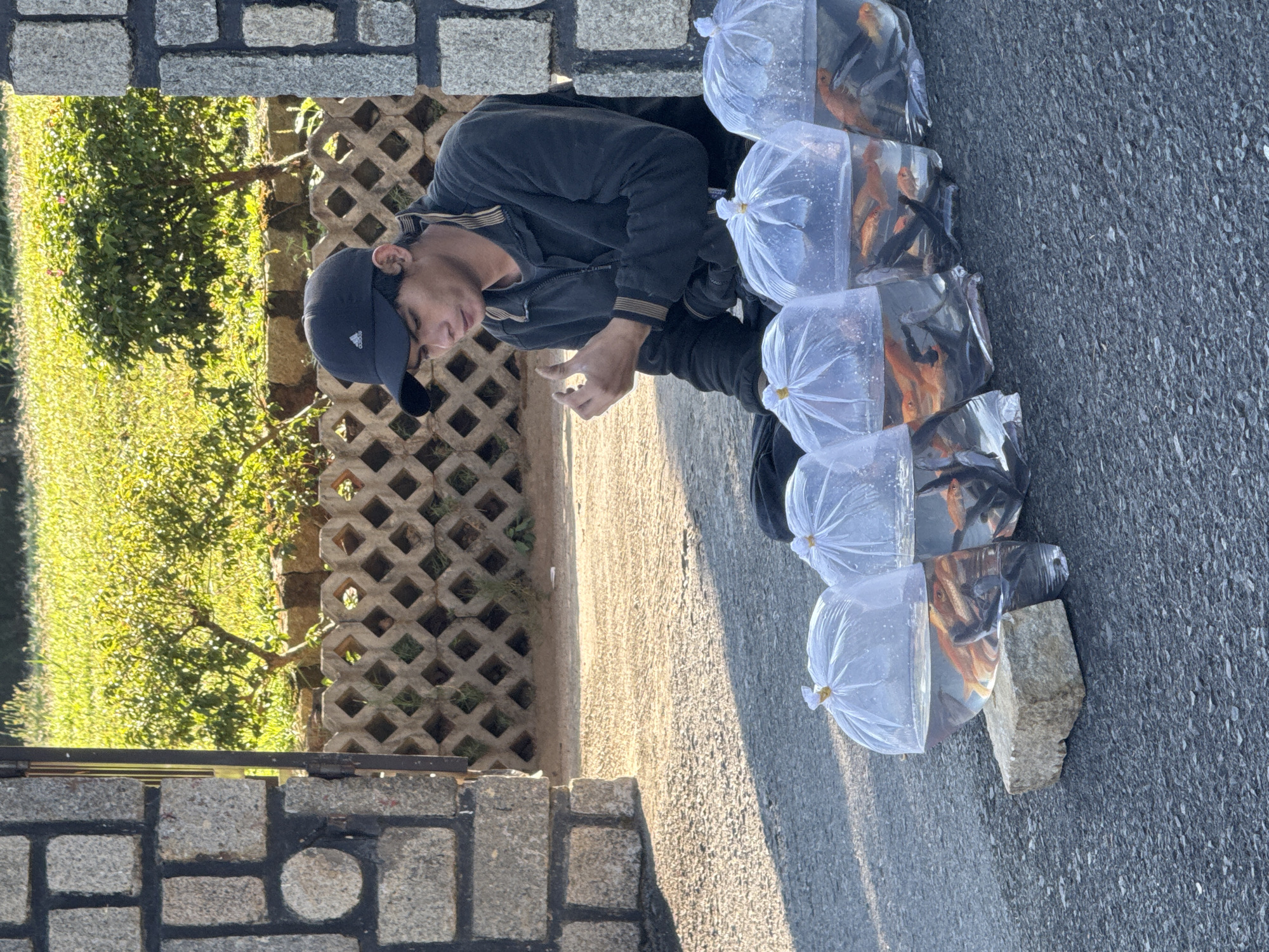 Street vendor sells live fish from plastic bags in Da Lat