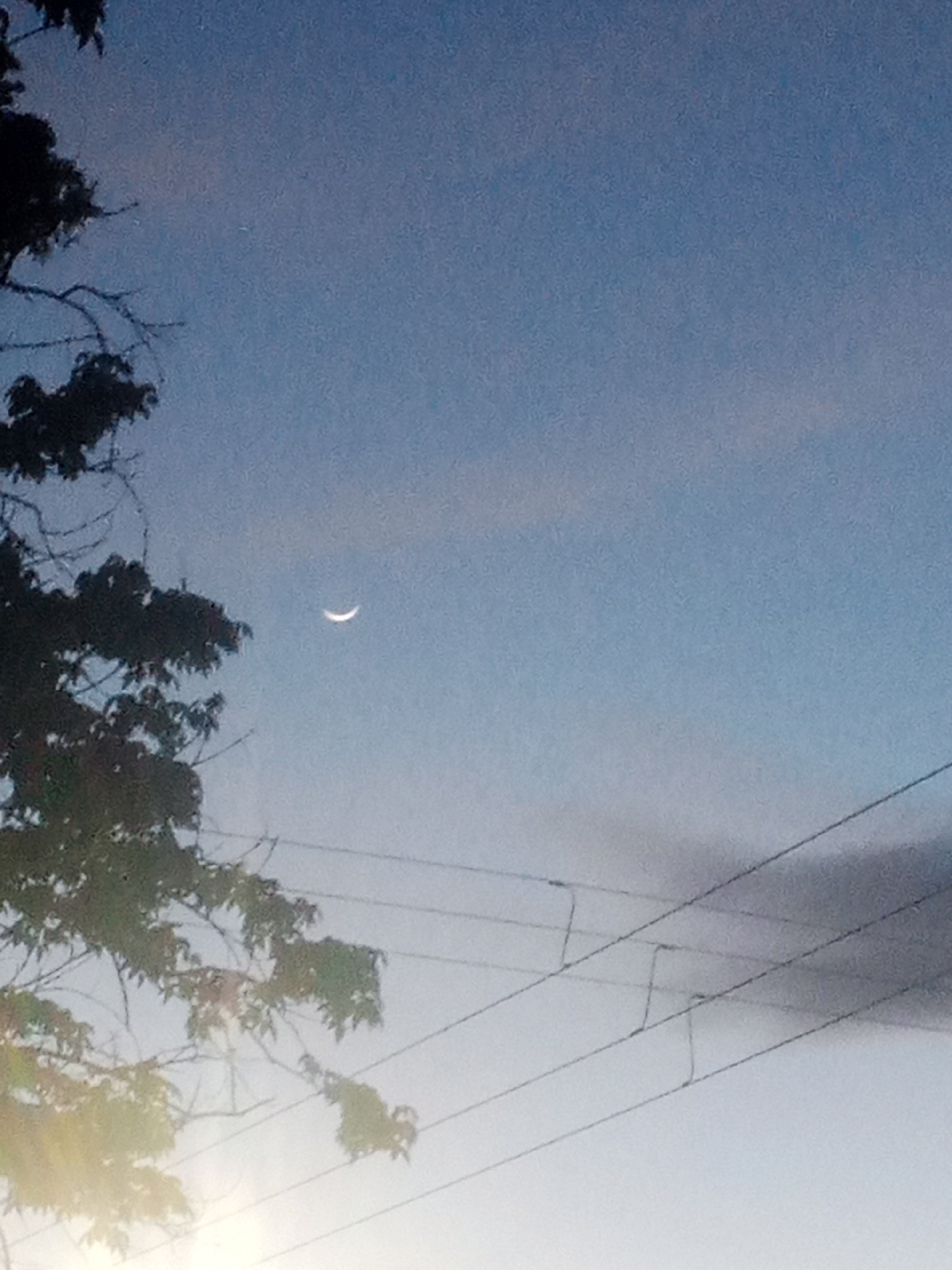 Twilight scenes from Altagracia: crescent moon, power lines, worn streets