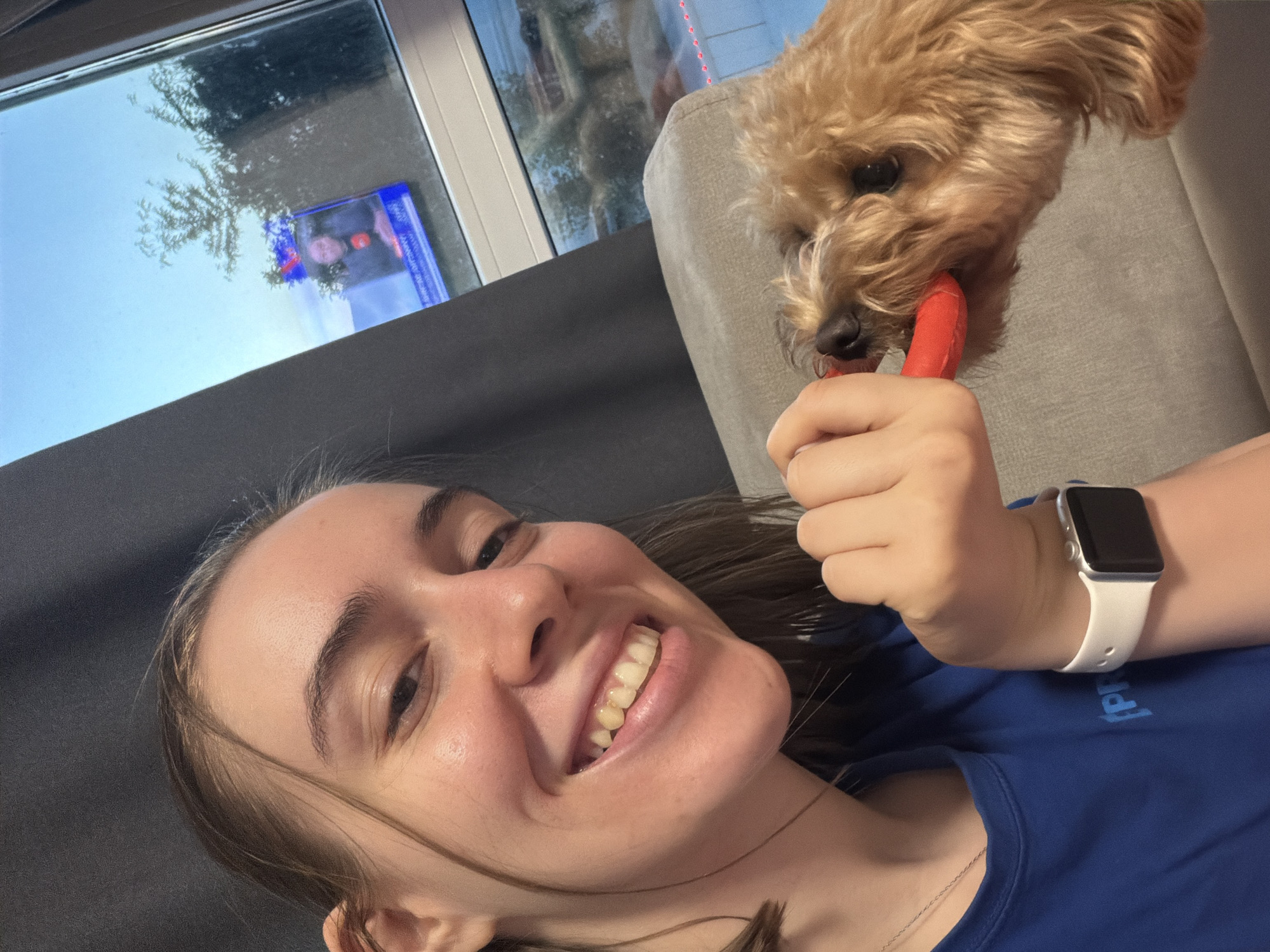 World Cup evening at home in Plovdiv, dogs and sunset included