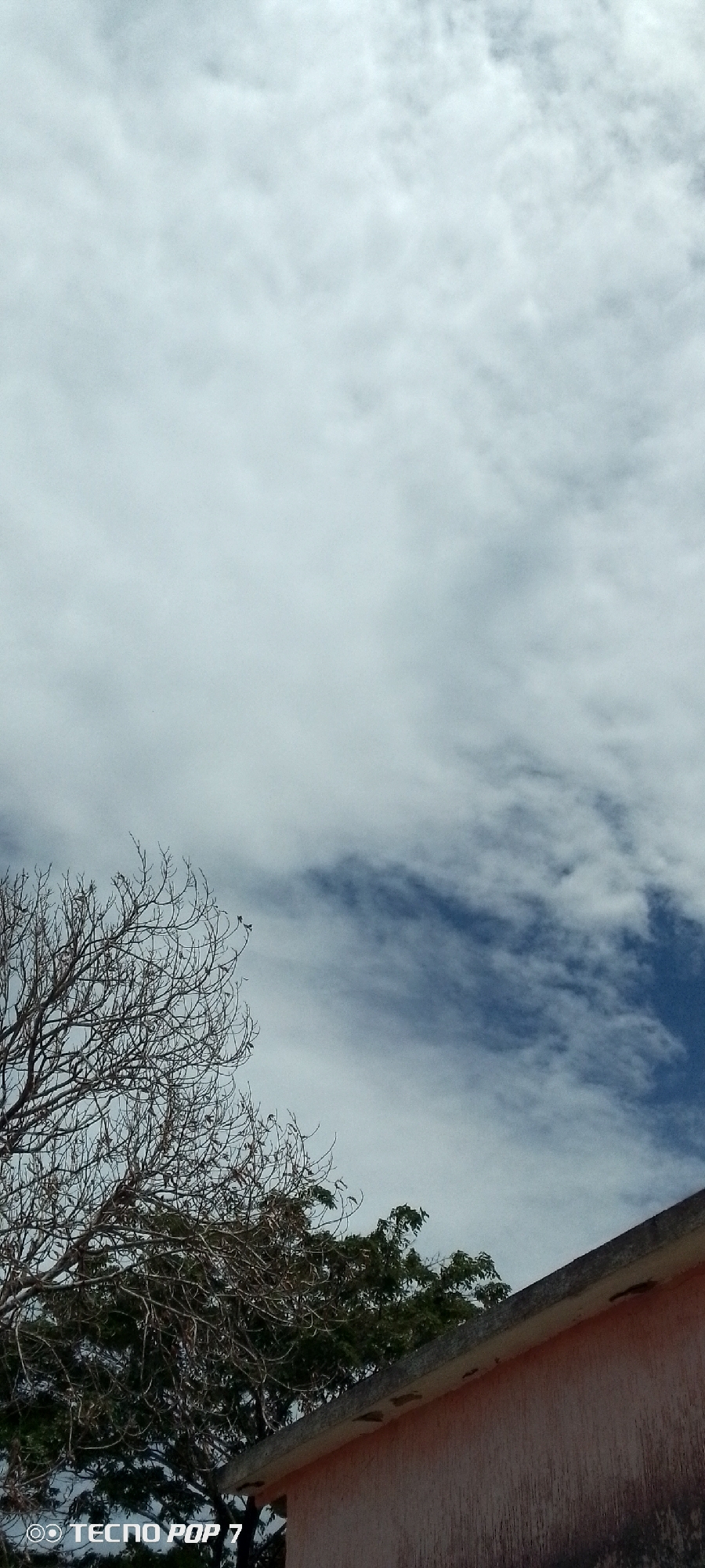 Sky-watching across Altagracia's rooftops and trees