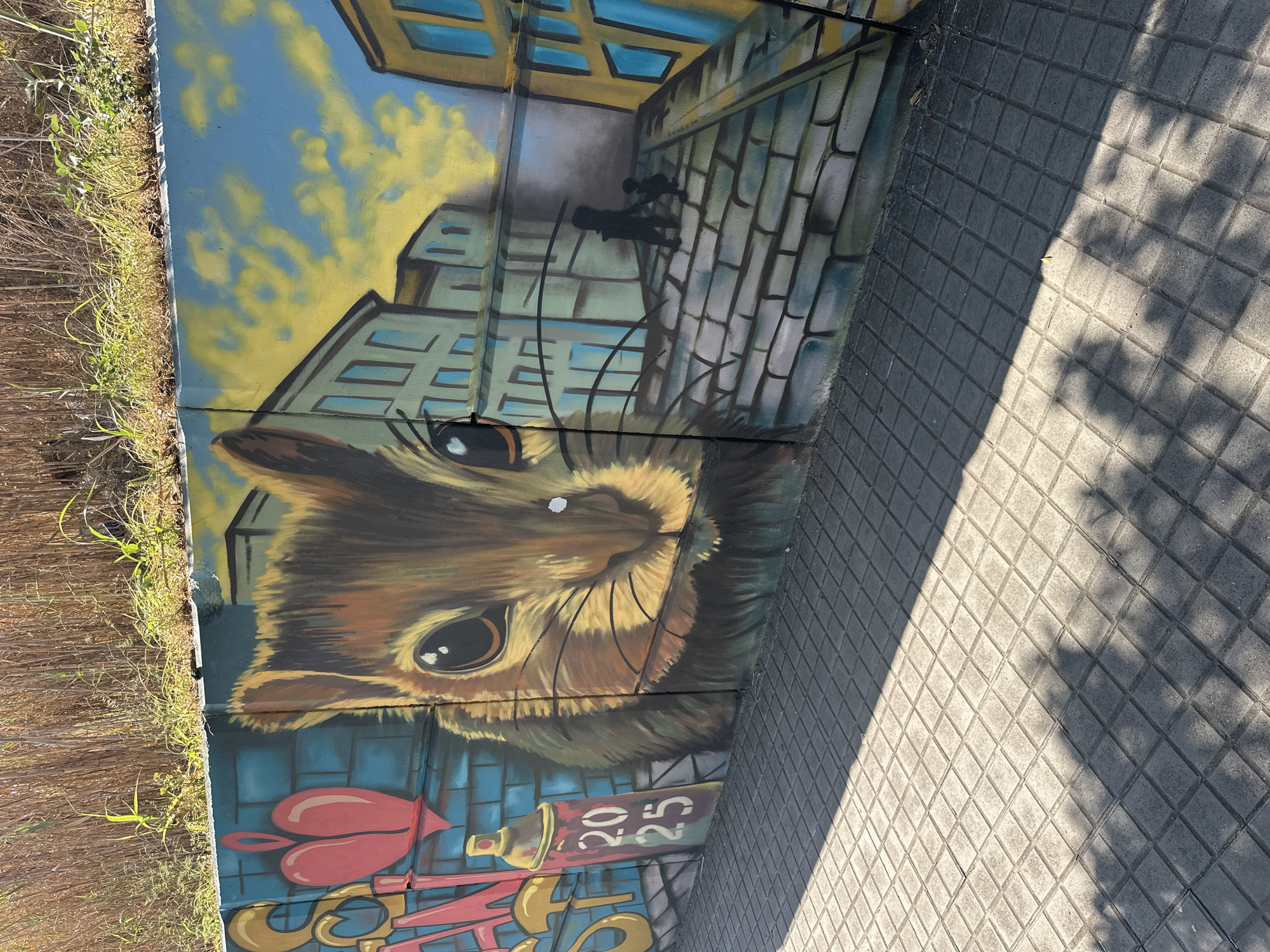 Eclectic street murals cover a concrete wall in Blanes