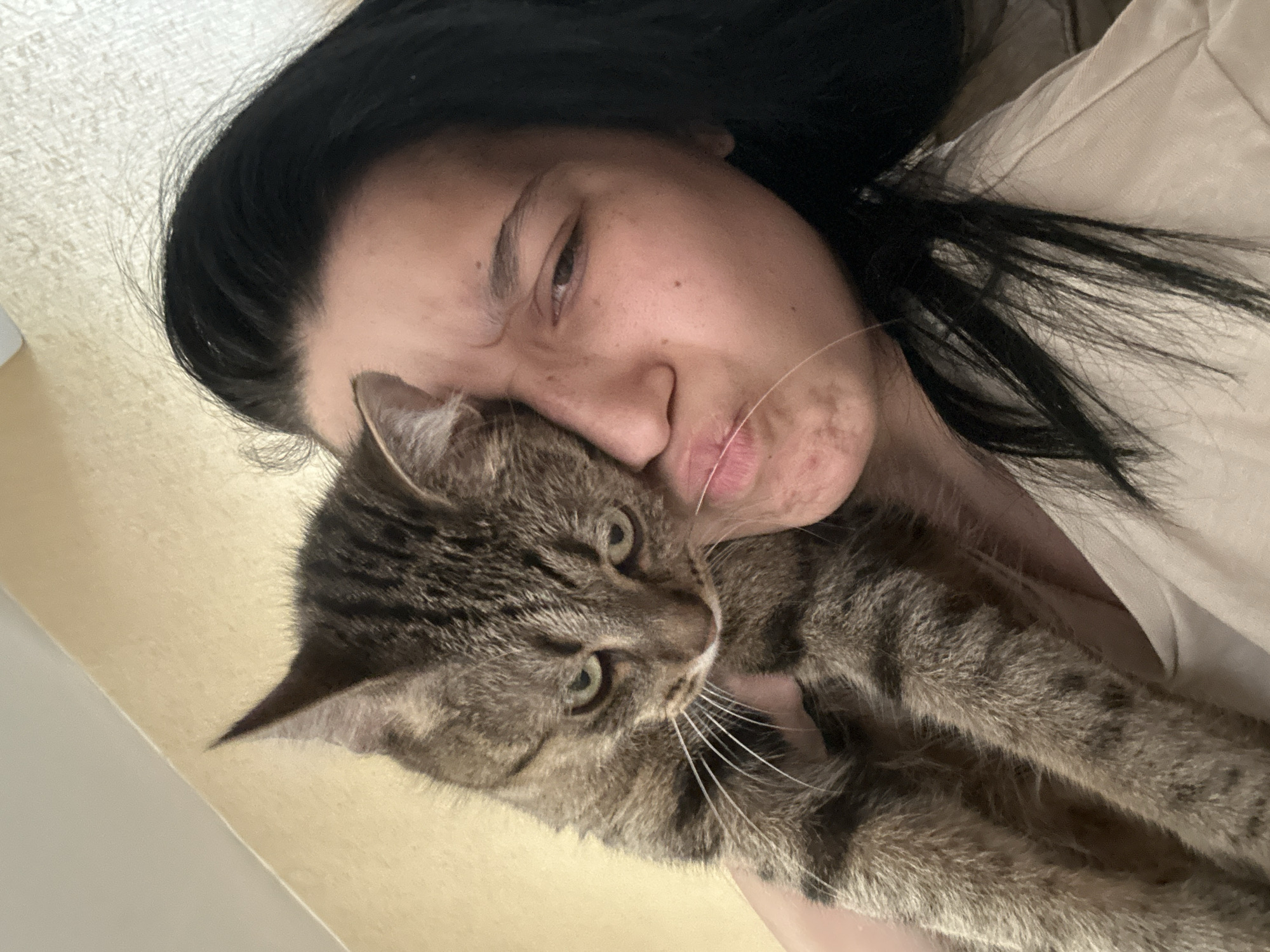 Quiet afternoon with cat and child in Sofia home