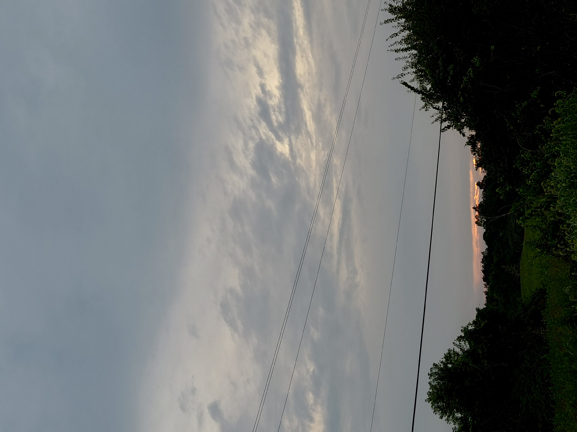 Sunset light breaks through clouds over a Kentucky treeline
