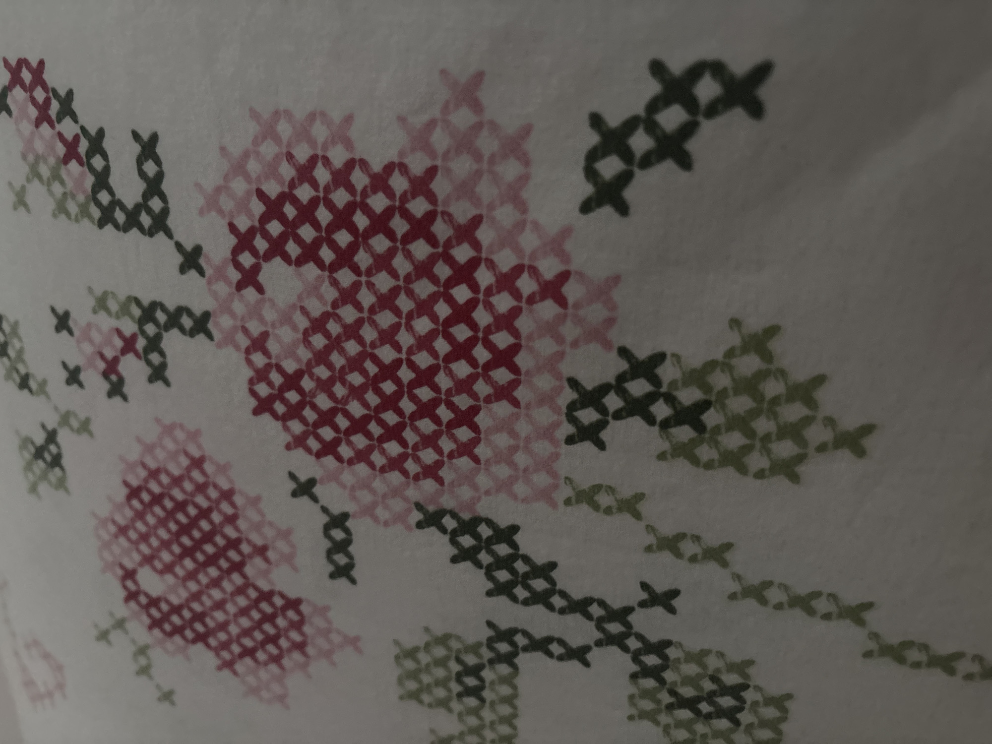 Traditional embroidery and portrait documented in Bulgarian village