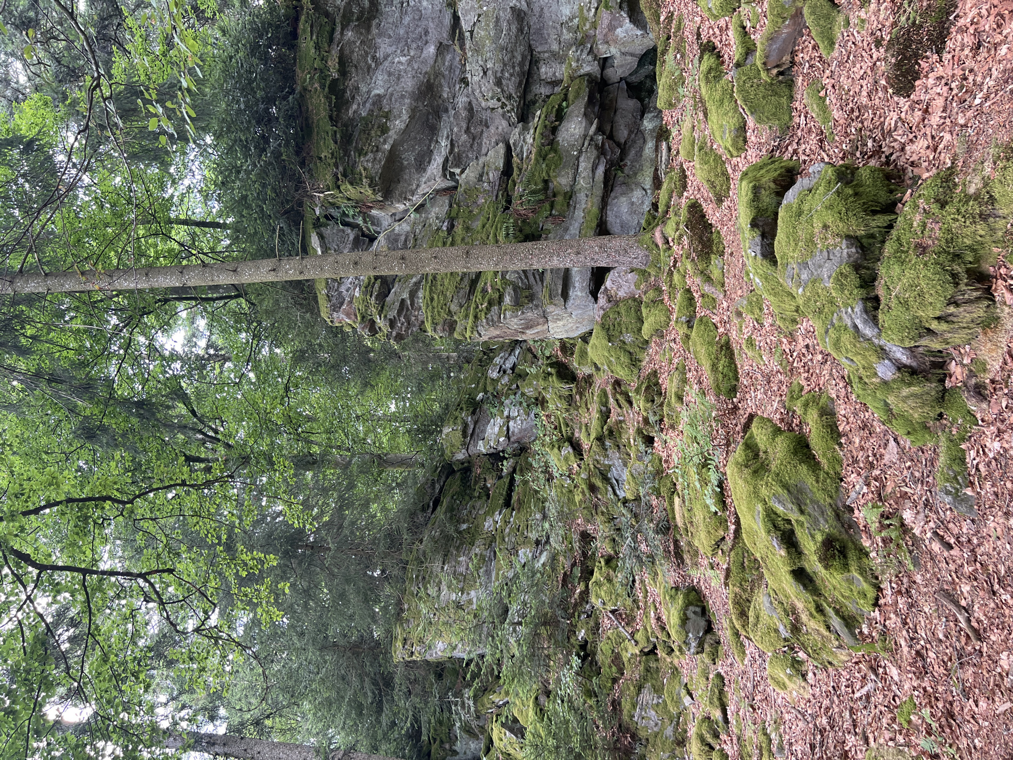 Schaufling, Germany