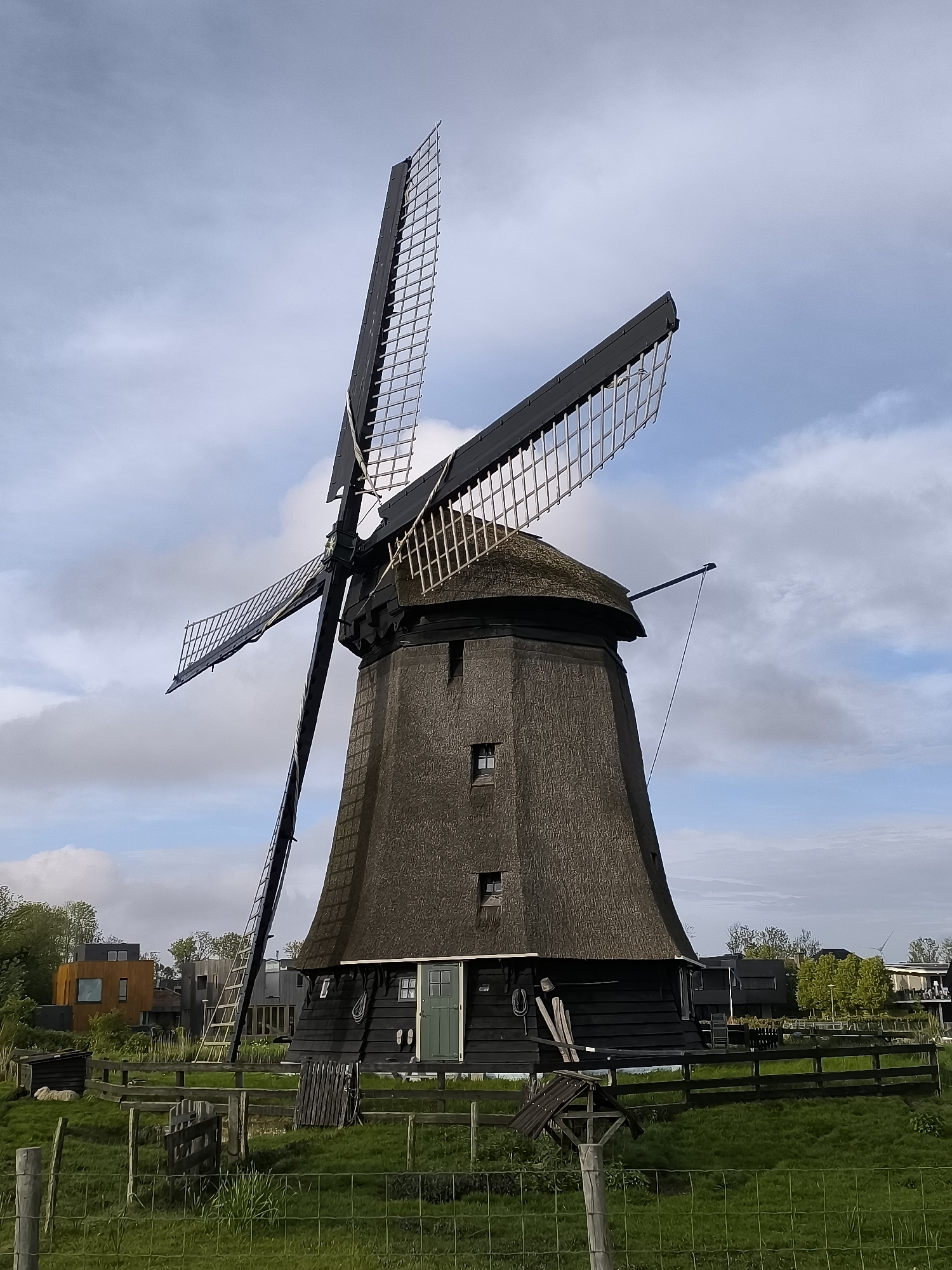 Spring scenes captured around historic Dutch windmill and waterways