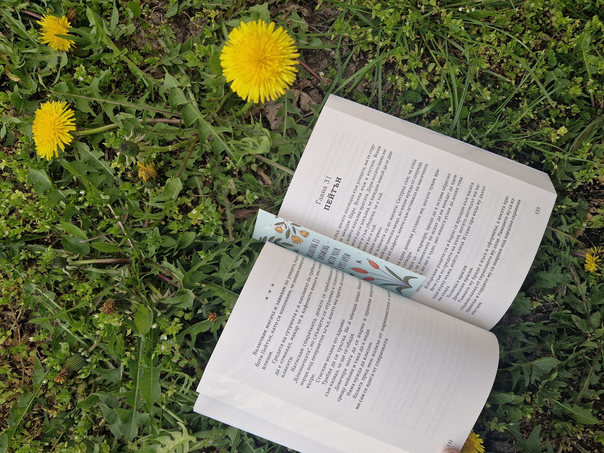 Open book spotted on dandelion-dotted grass in Sofia