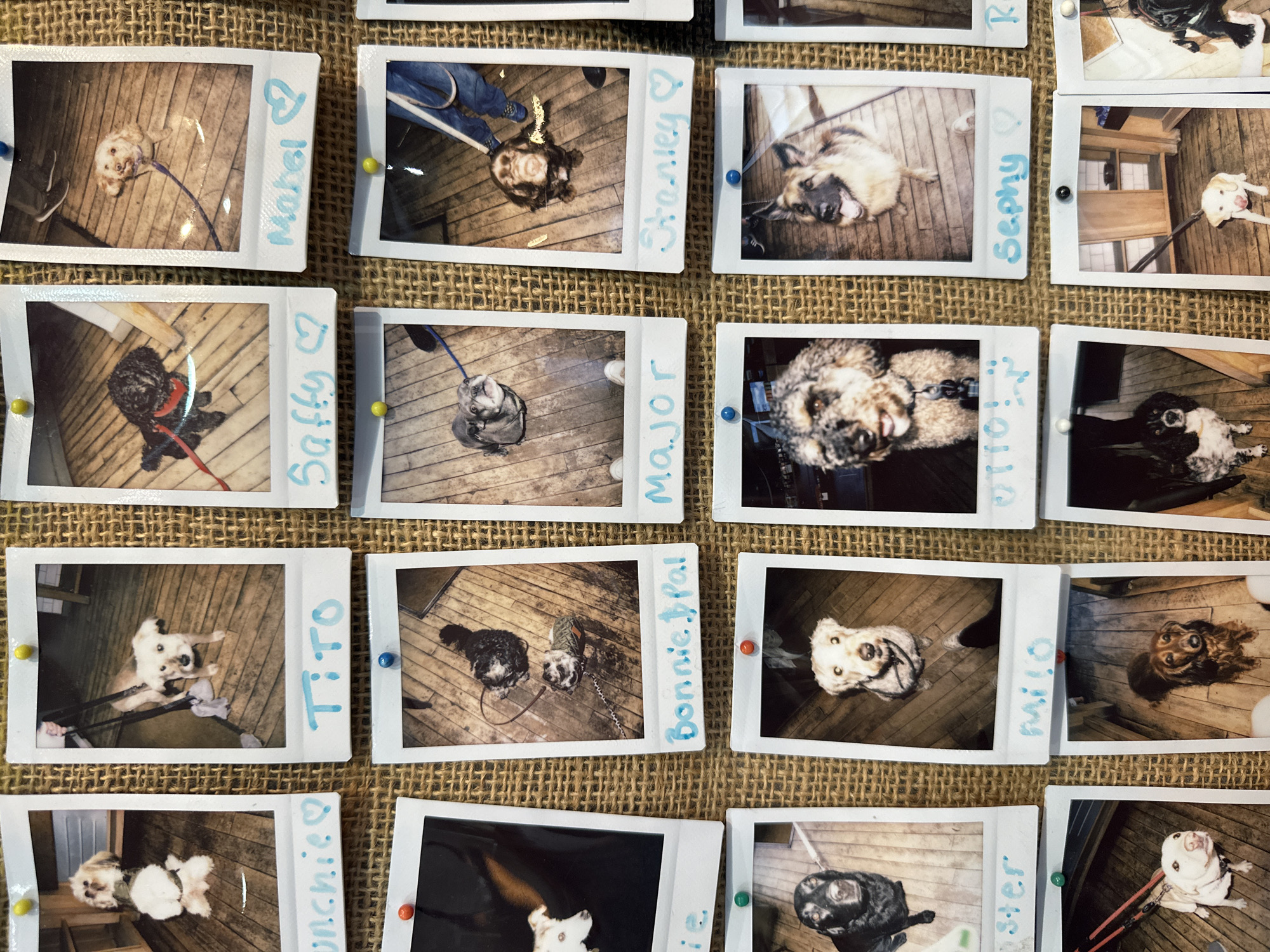 Social media user documents daily life in Tunbridge Wells