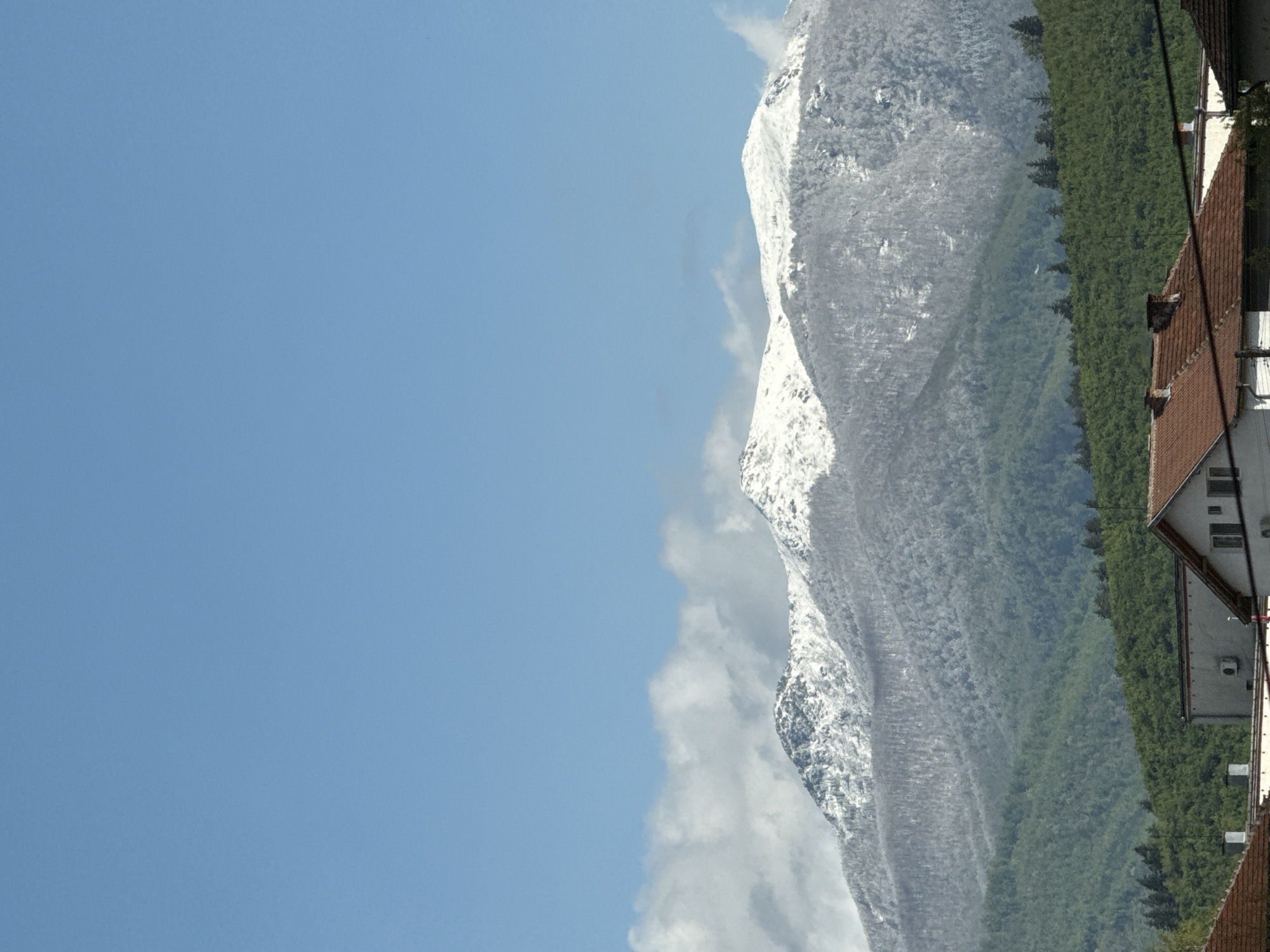 Spring day captured in Berkovitsa: mountain views, playful dog