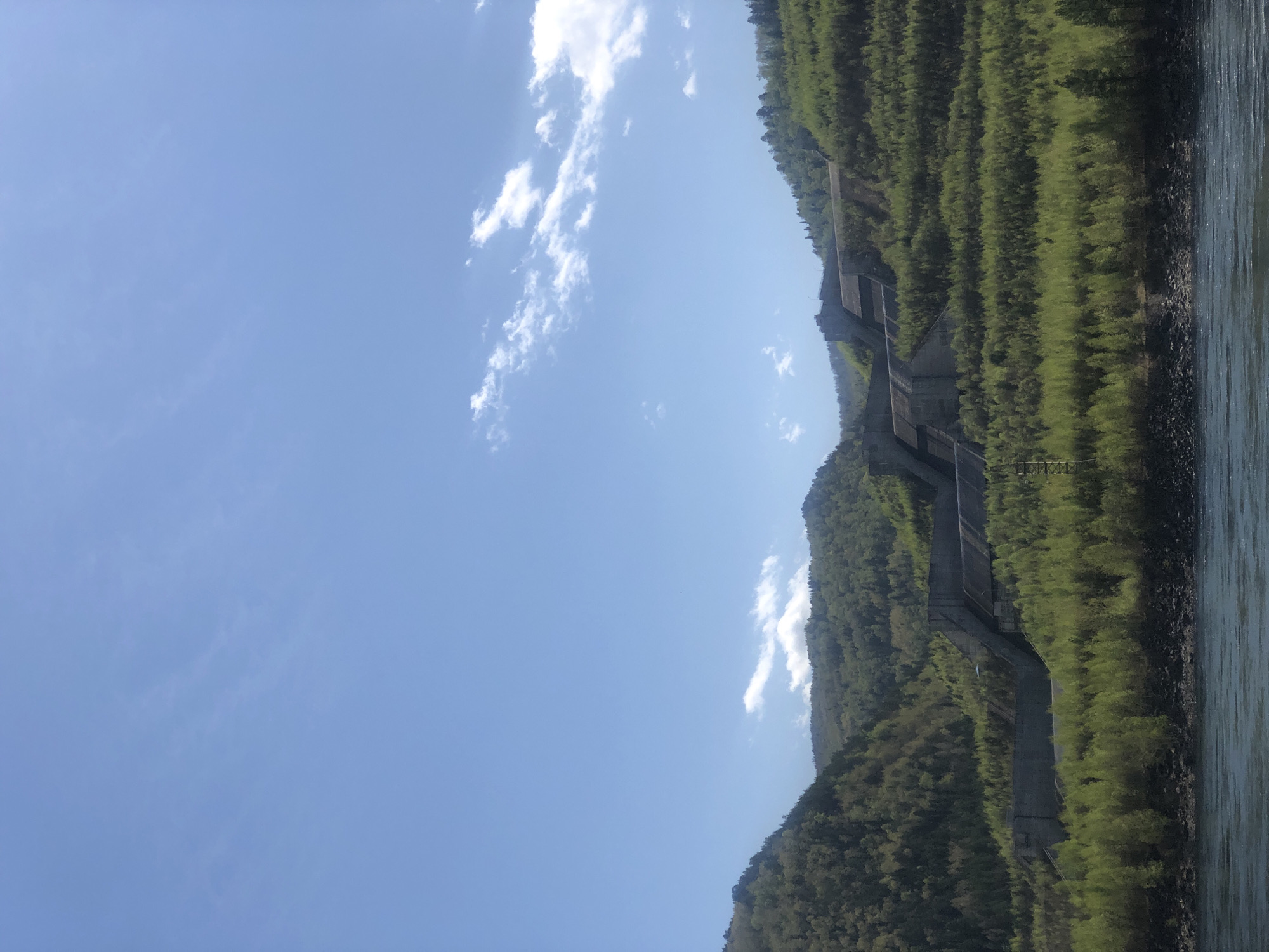 Hillside concrete structure observed amid vegetation near Cheremushki water