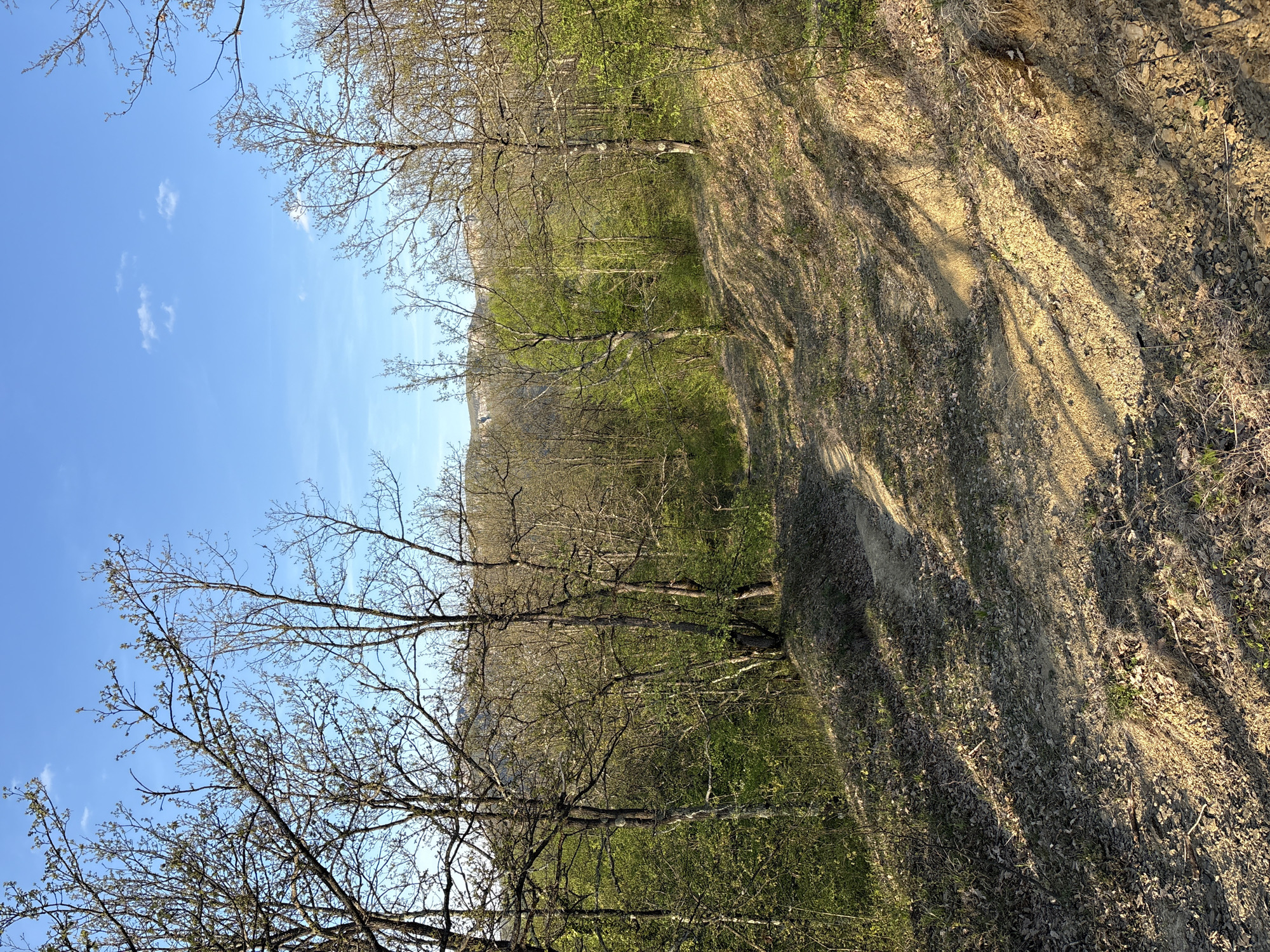 Spring scene documented in Dragievtsi, Bulgaria shows emerging foliage