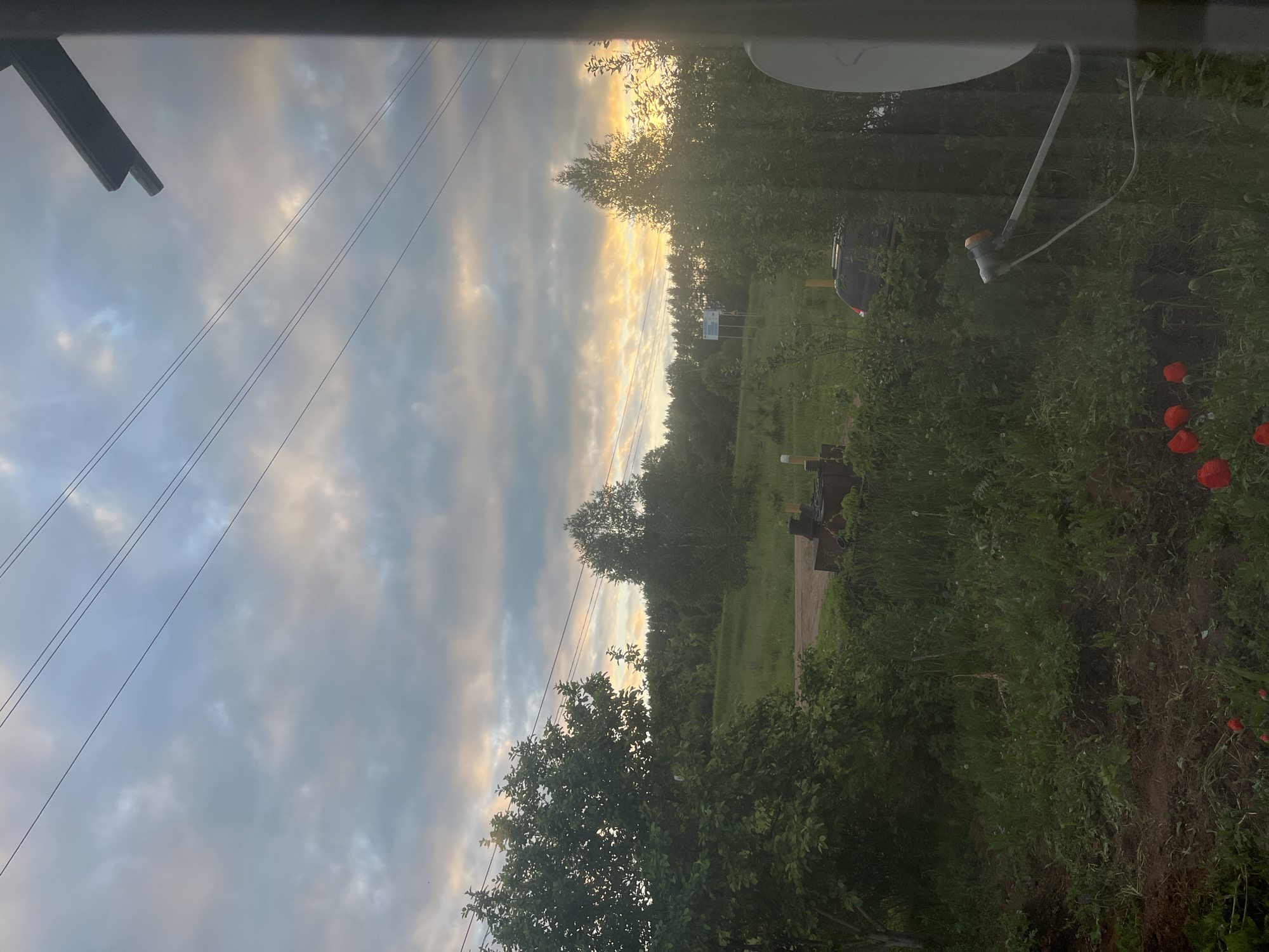 Quiet evening moments captured in rural Sosnovo, Russia