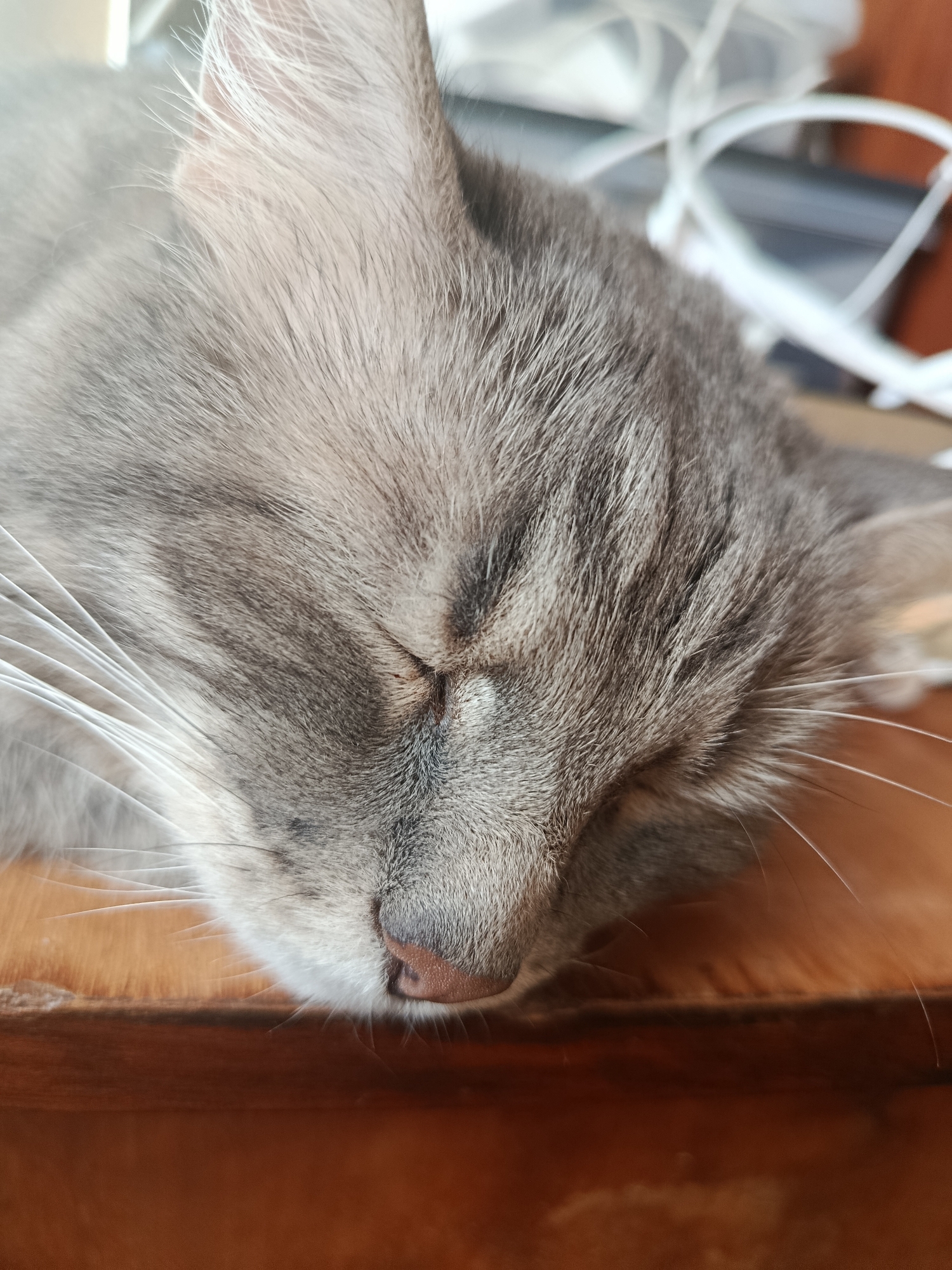 Event