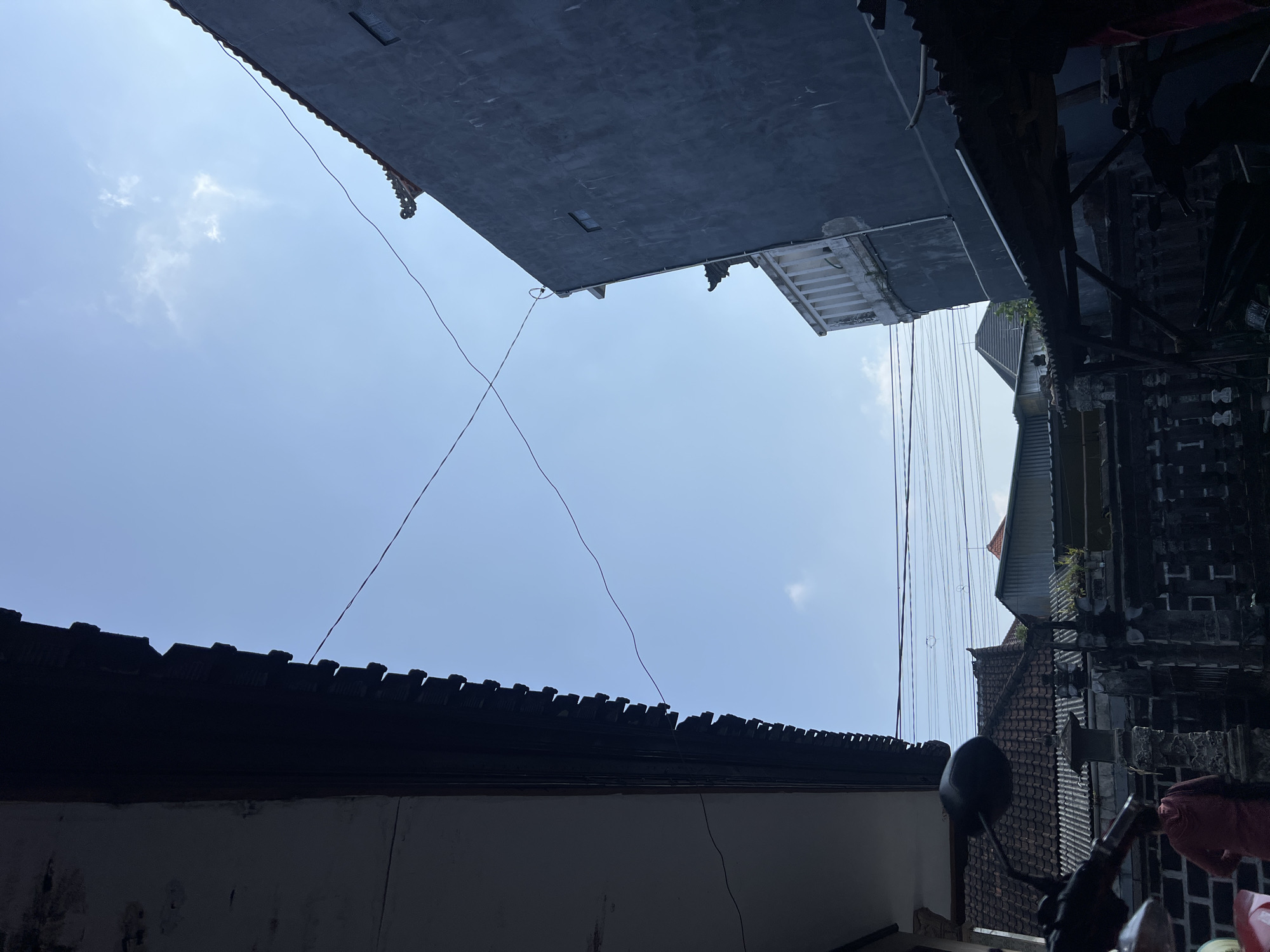 Cats, chrysanthemums, and scooters in a Denpasar alleyway