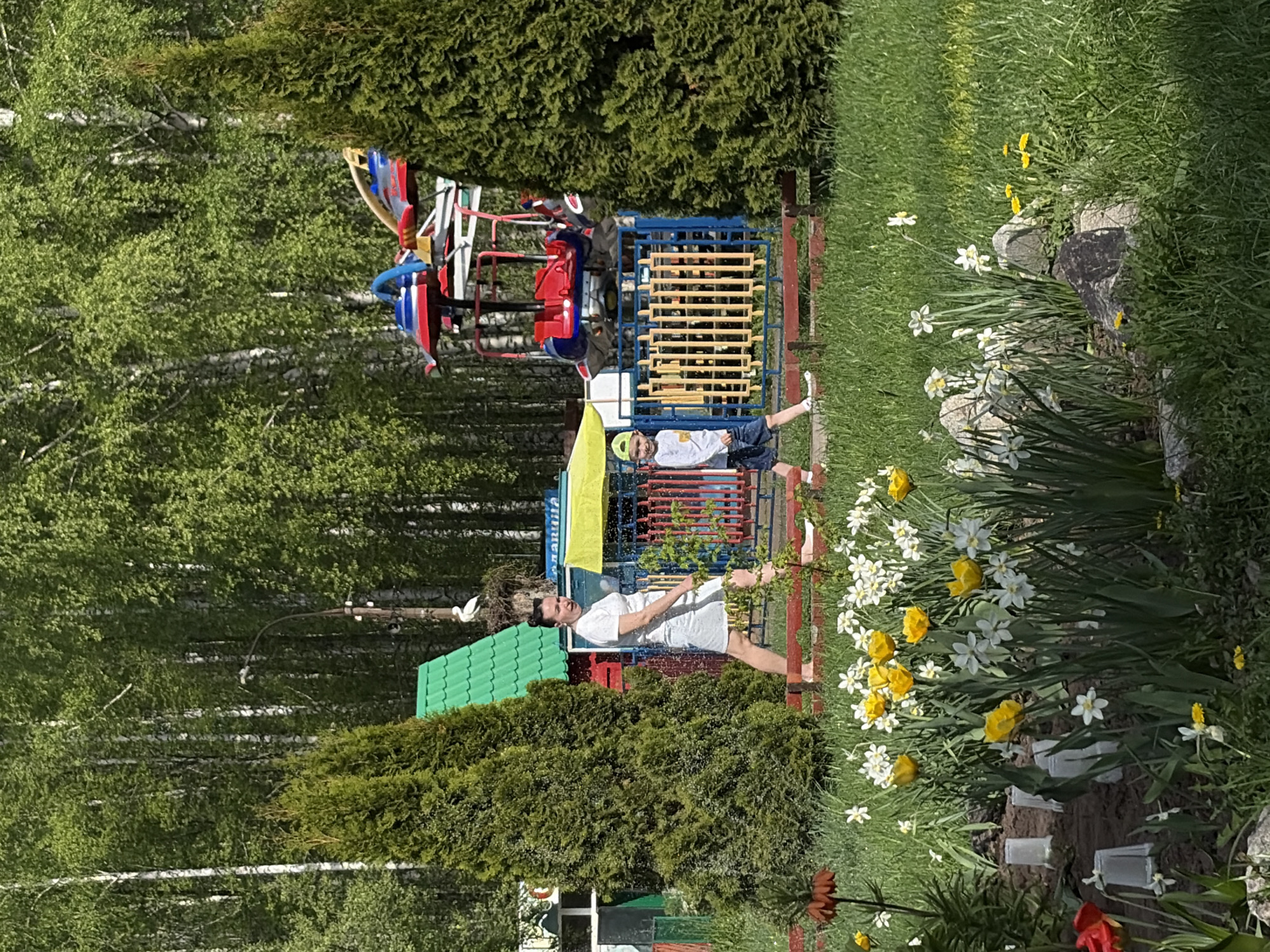 Park visitors document sunny morning recreational activities across multiple locations
