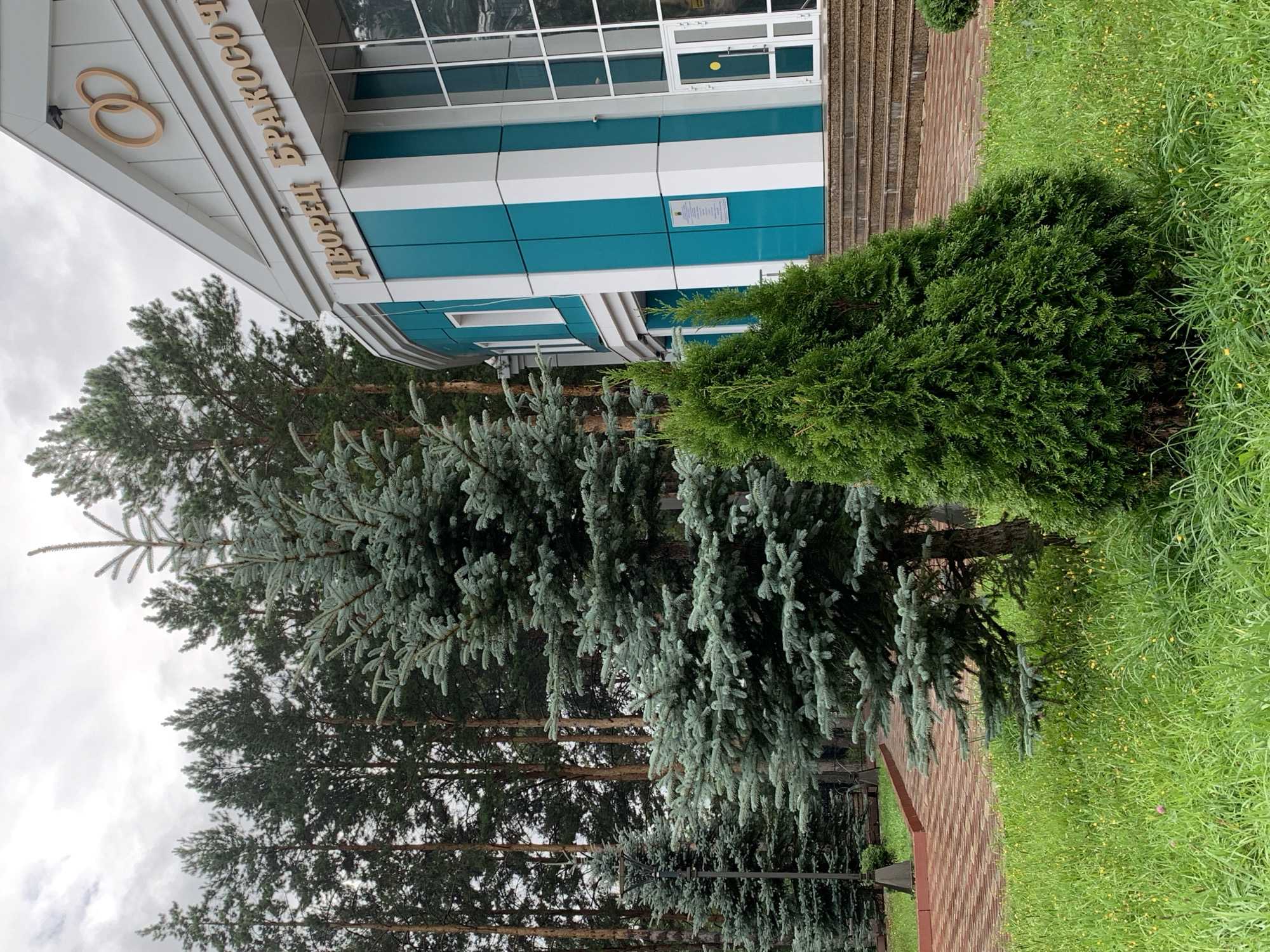 Wet morning at Prokopyevsk's wedding palace park