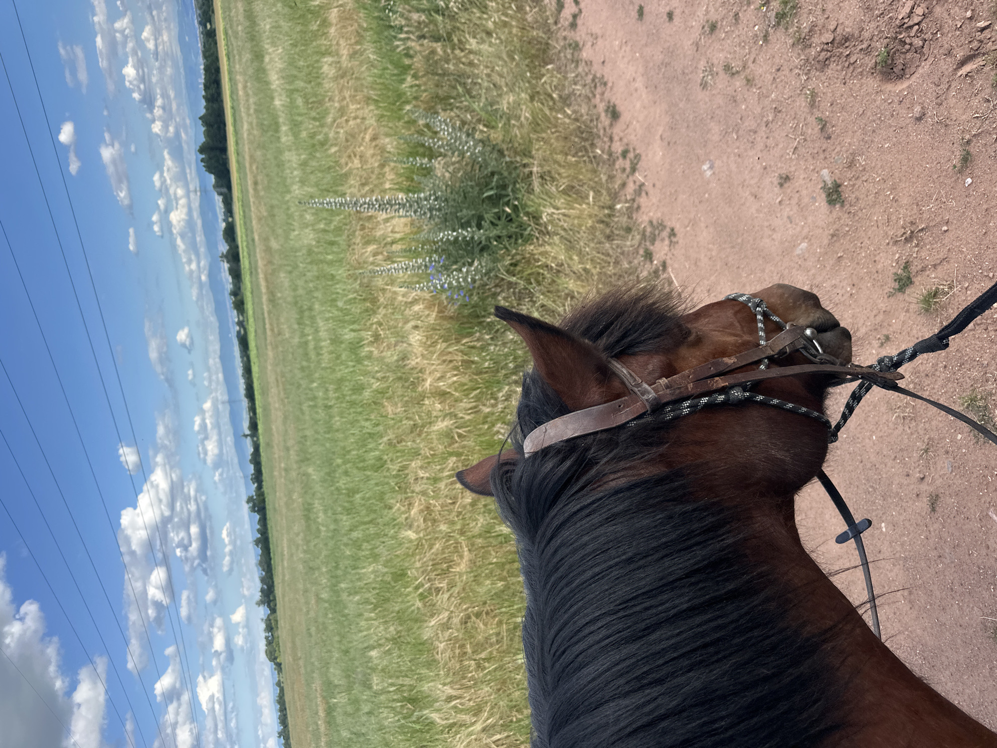 Horseback riding through countryside fields in Voynegovtsi, Bulgaria