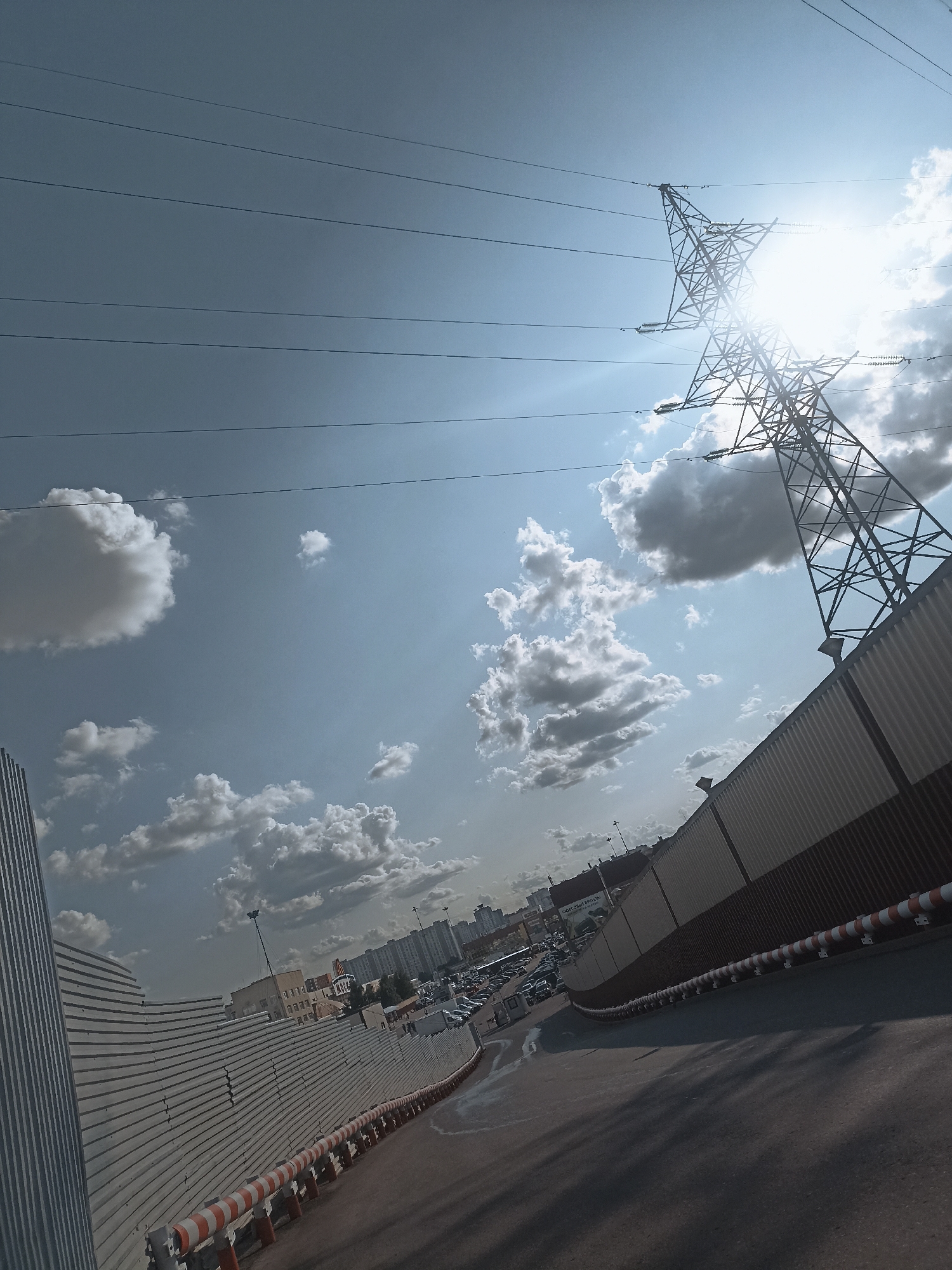 Power lines, street dogs, and dry Russian wit in Moscow