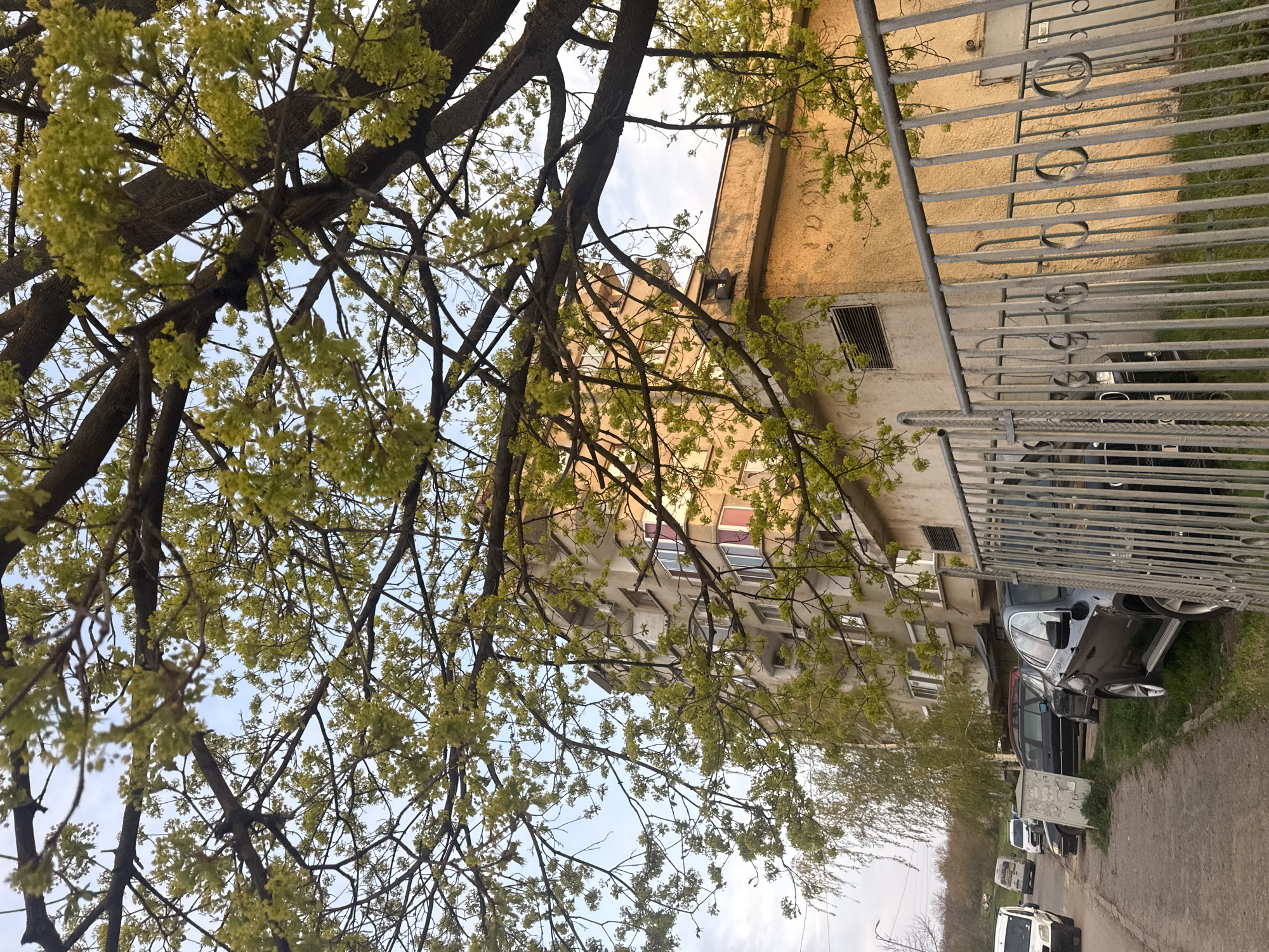 Early morning street scenes documented in Montana, Bulgaria