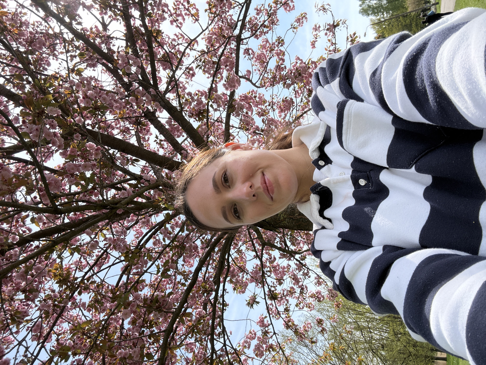 Woman enjoys spring blossoms under flowering tree in Riga