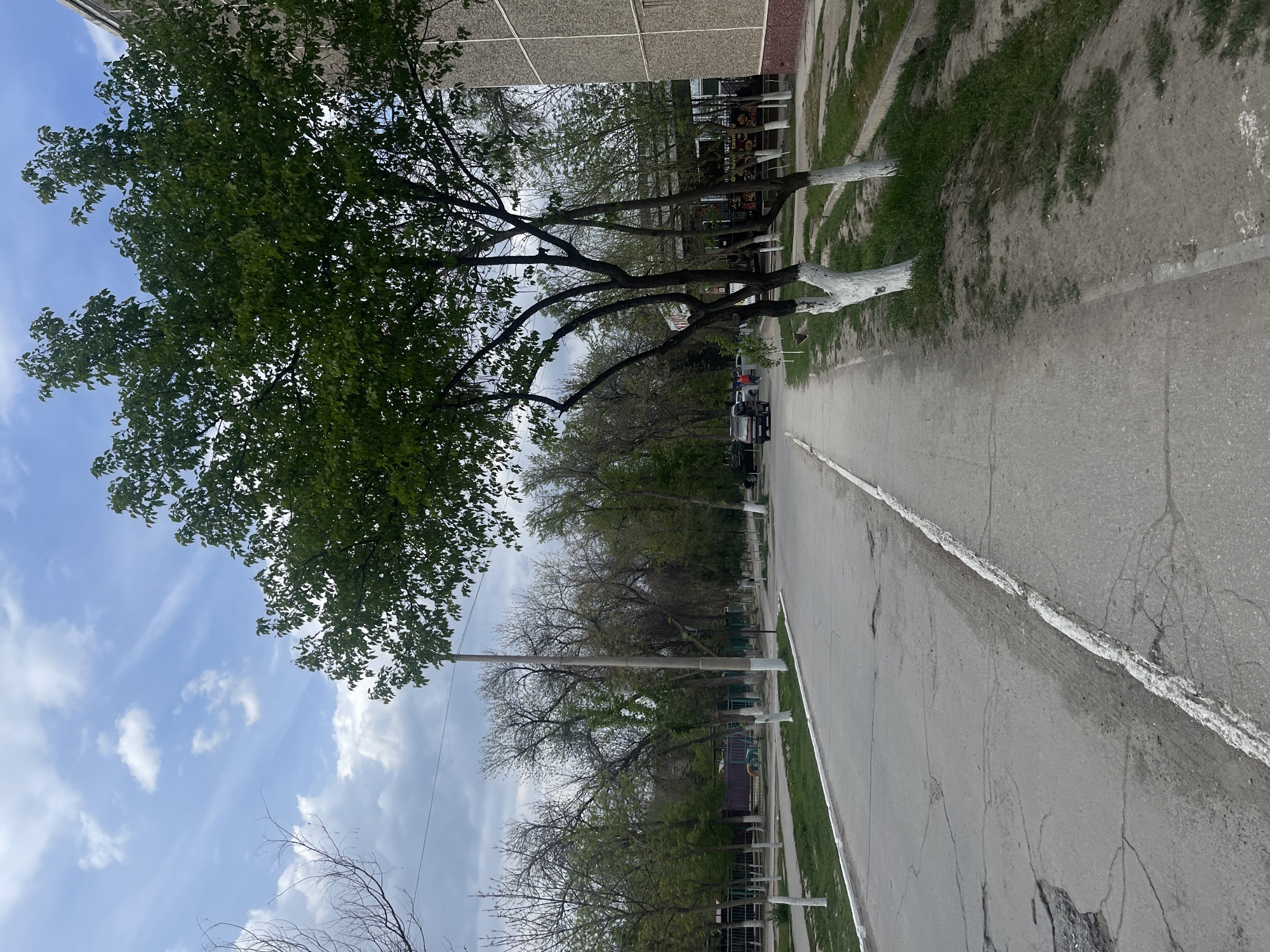 Street scenes captured in Navoiy City, Uzbekistan