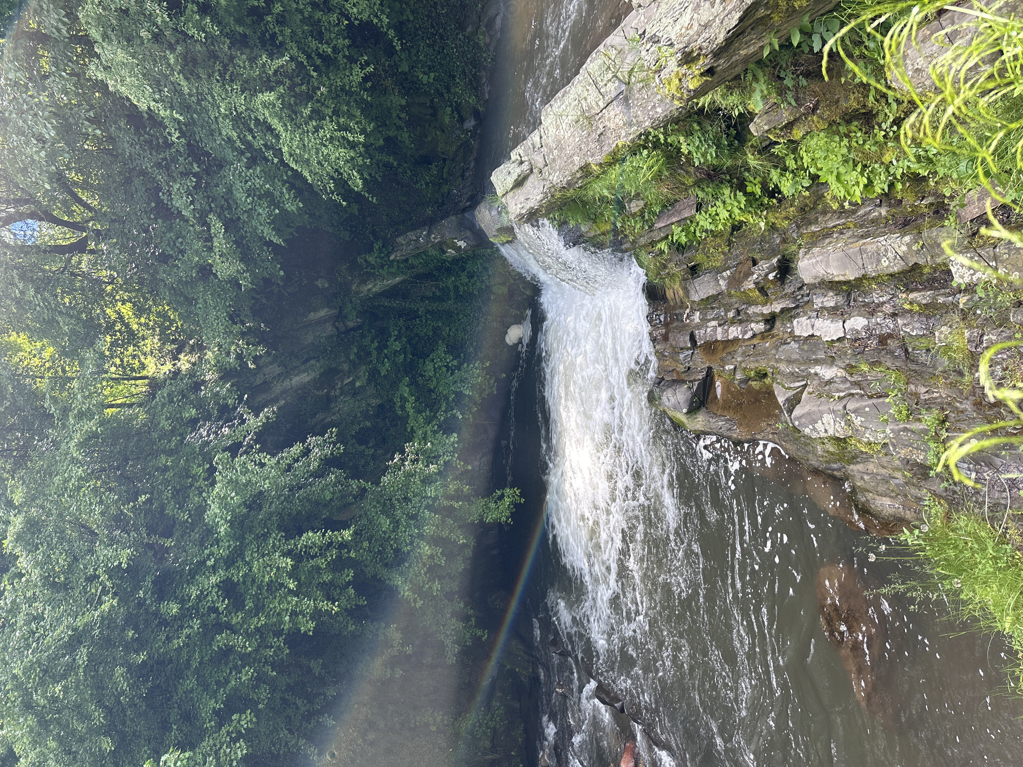 Witnesses document forest waterfall with rainbow, surrounding residential area