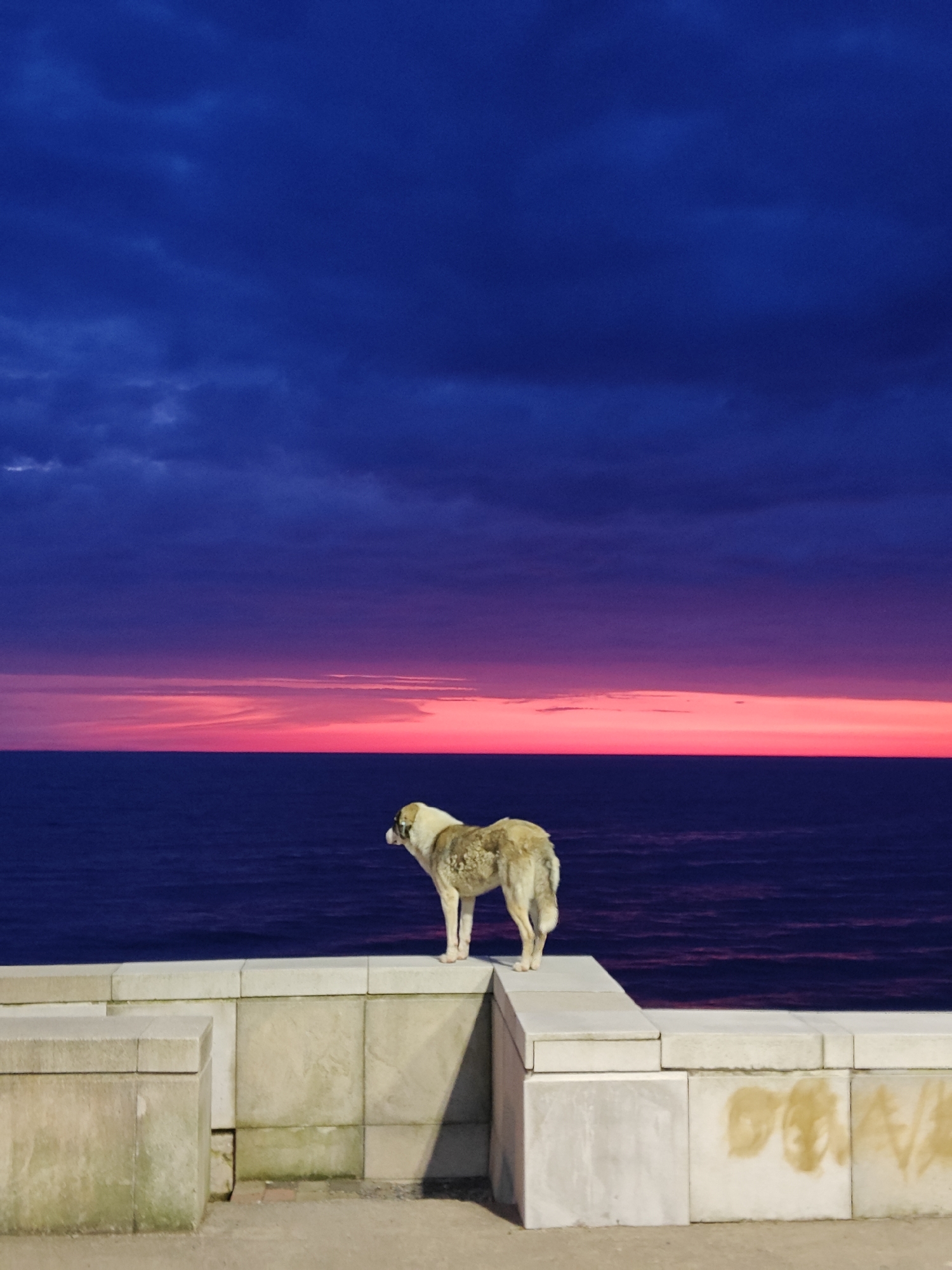 Evening scenes captured in Kobuleti, Georgia seaside town